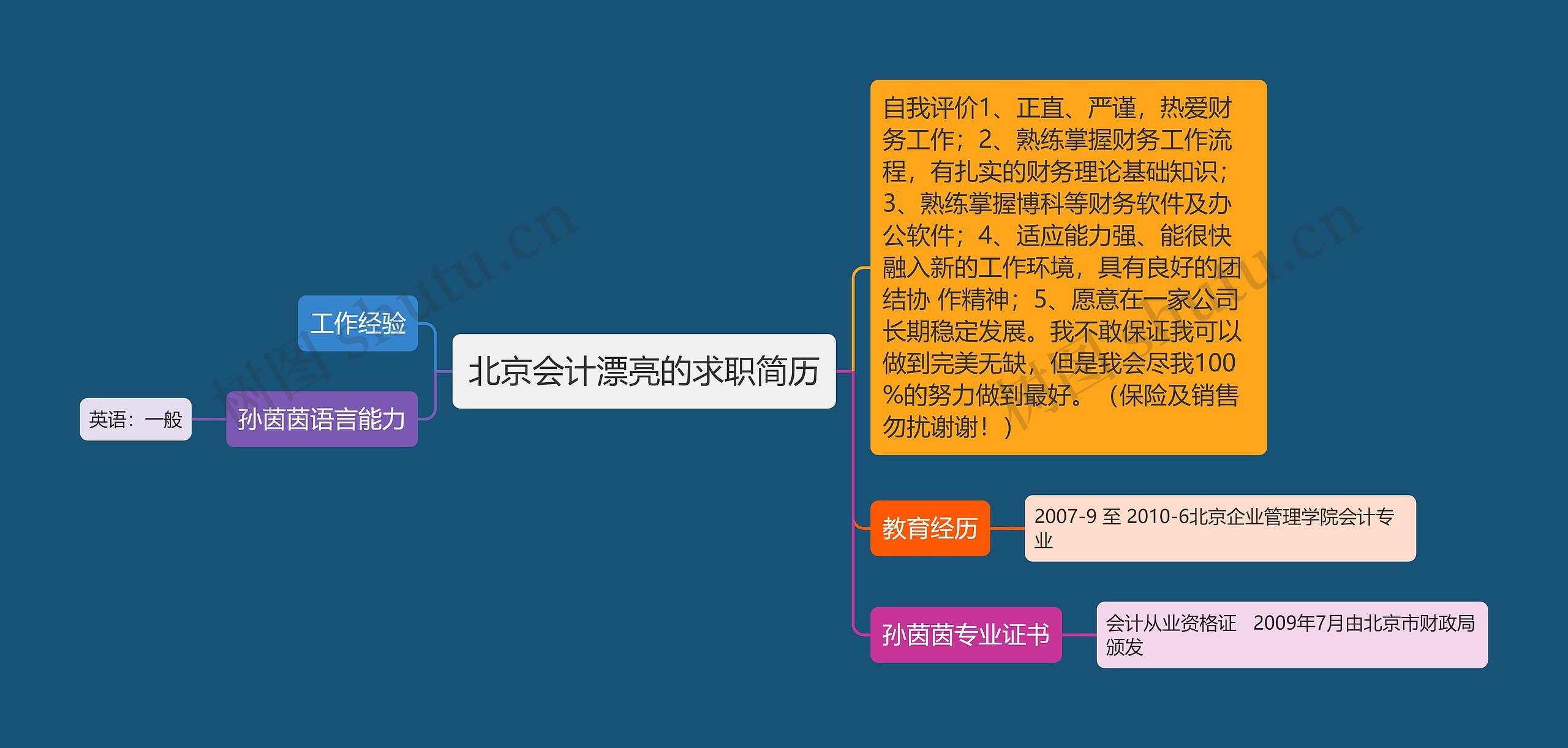 北京会计漂亮的求职简历