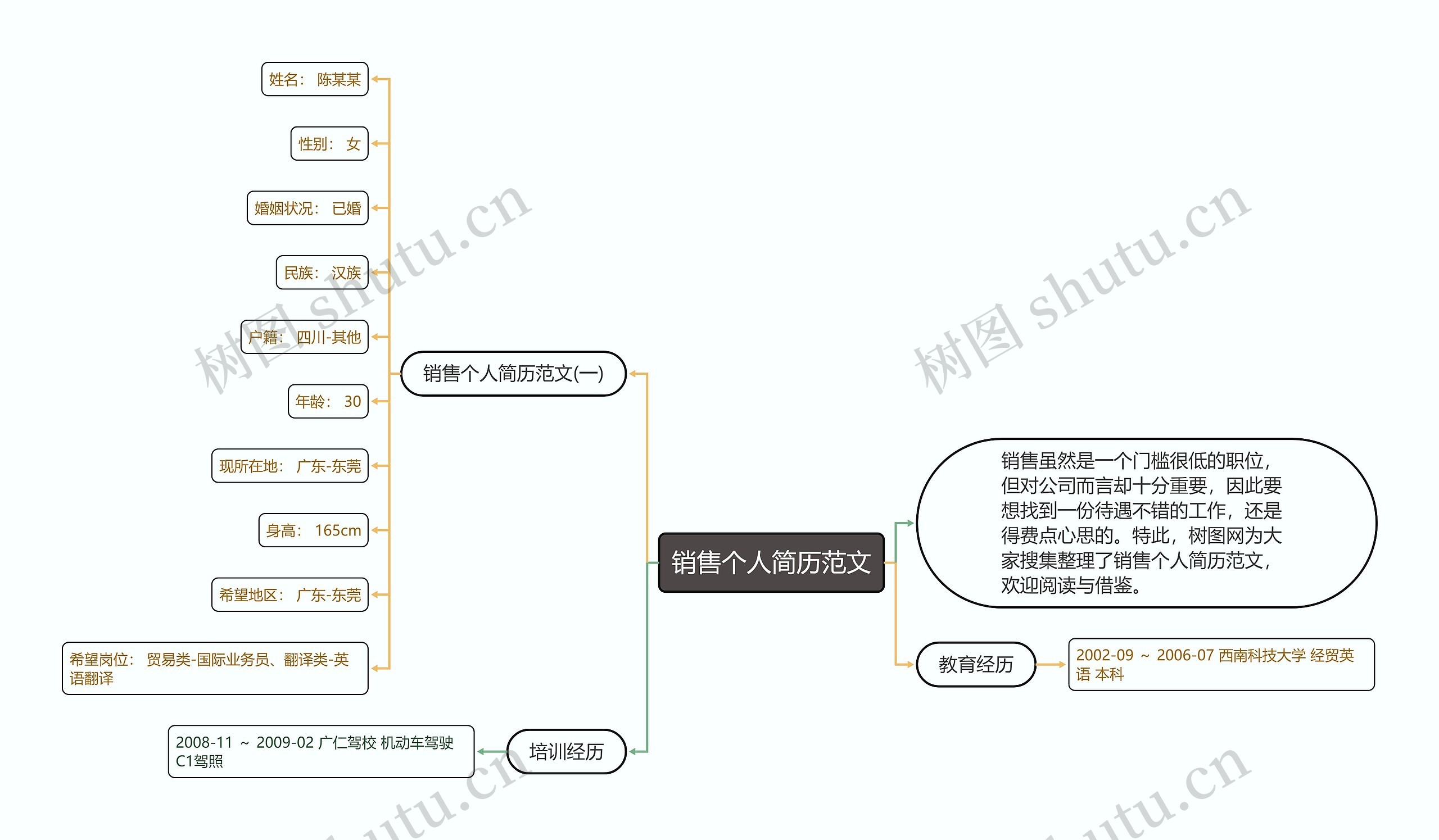 销售个人简历范文思维导图