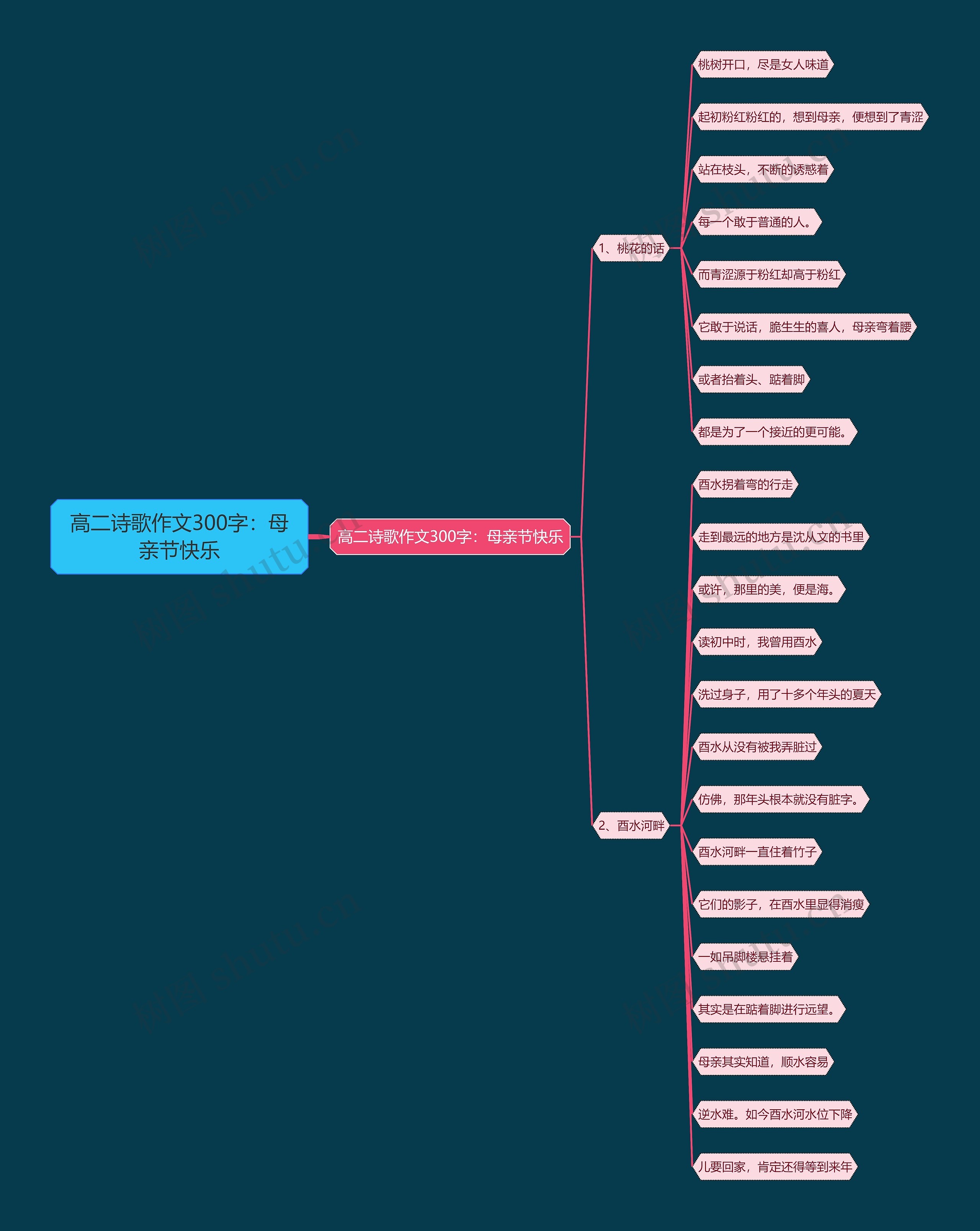 高二诗歌作文300字：母亲节快乐思维导图