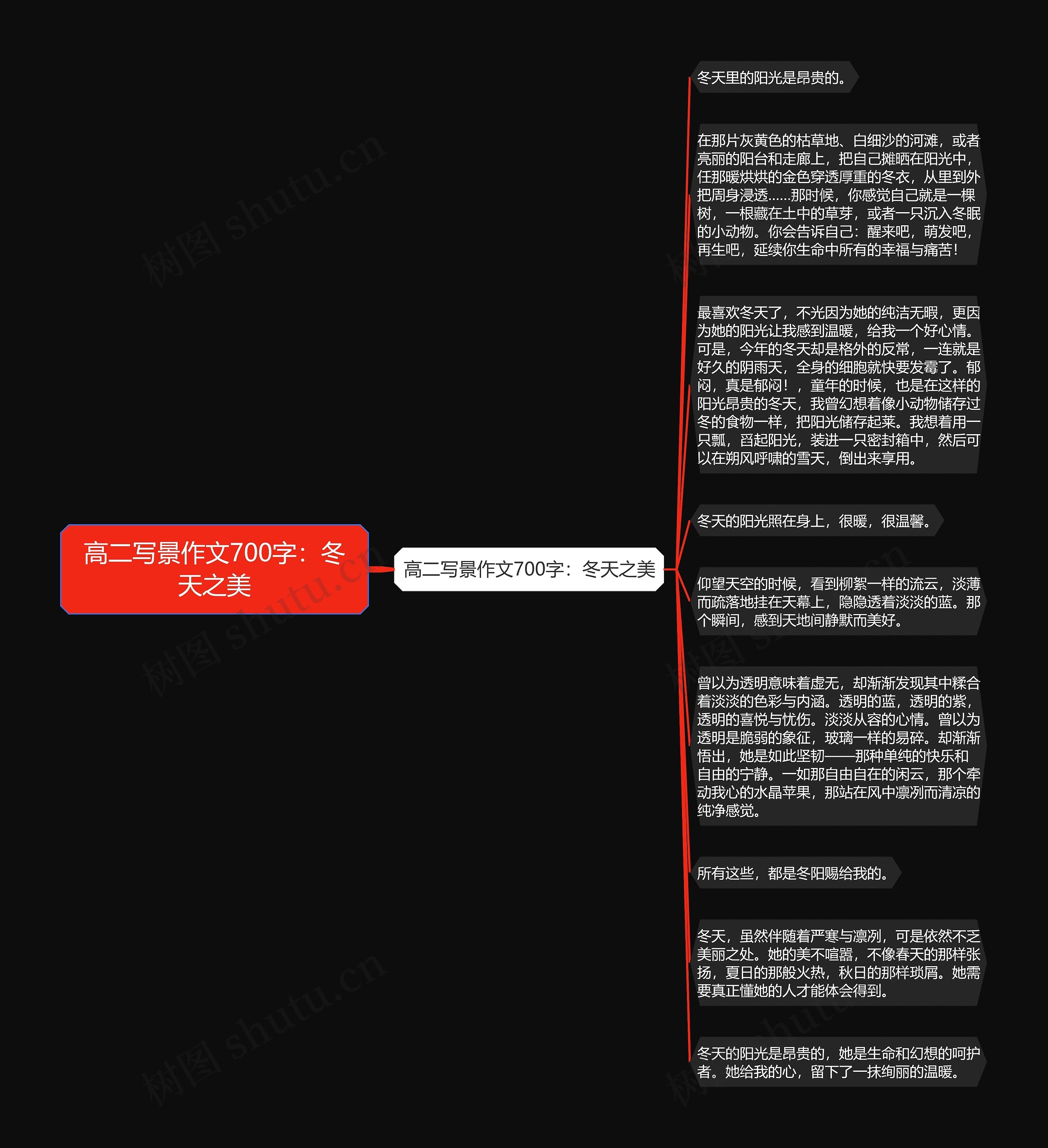 高二写景作文700字：冬天之美思维导图