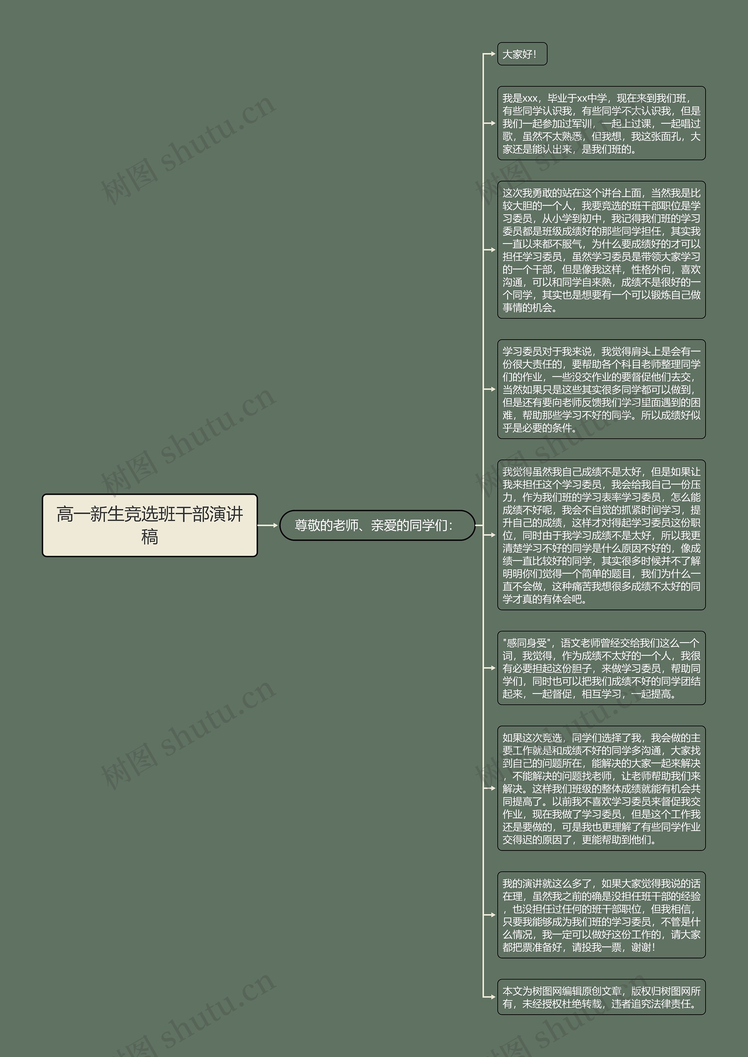 高一新生竞选班干部演讲稿思维导图