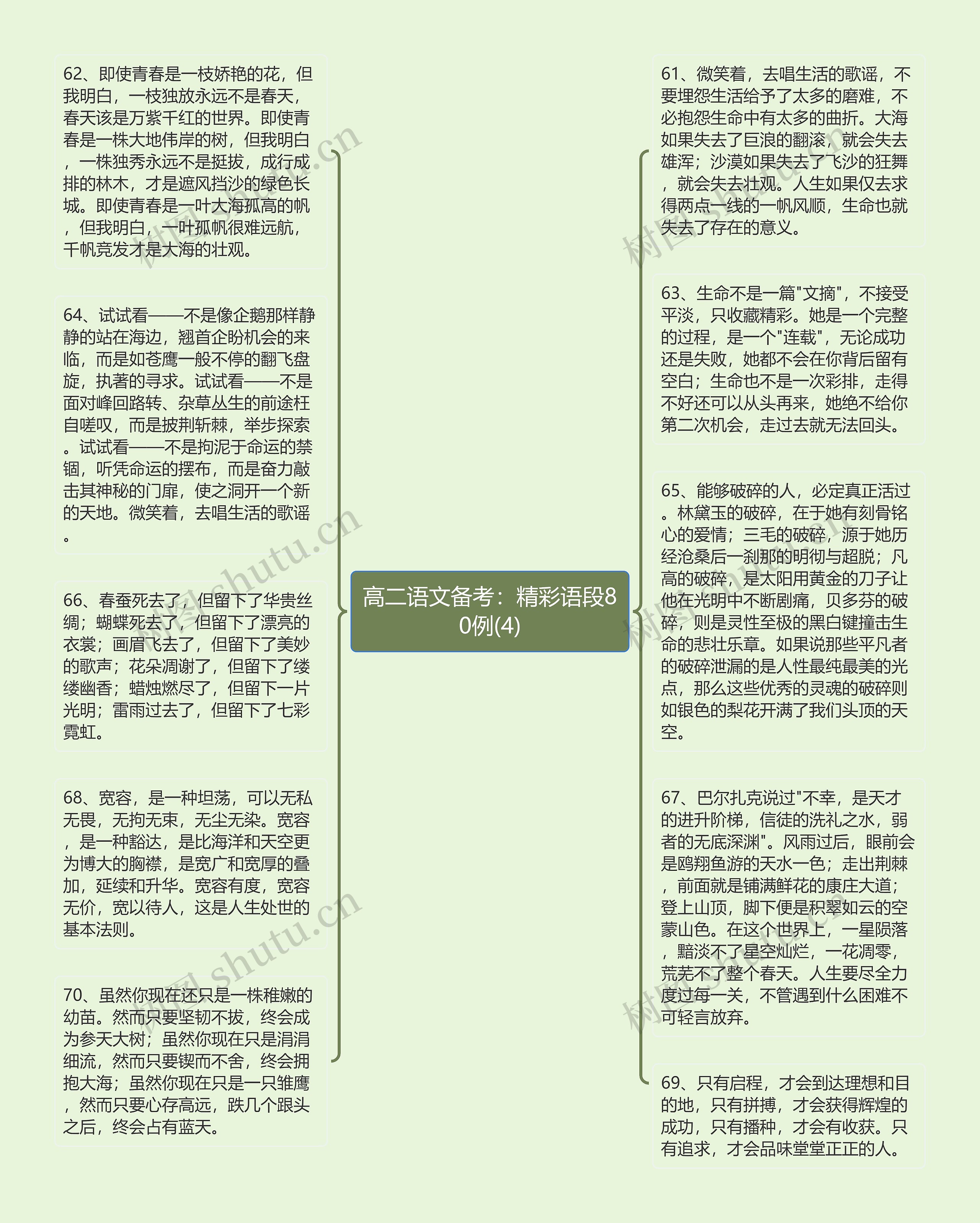 高二语文备考：精彩语段80例(4)思维导图