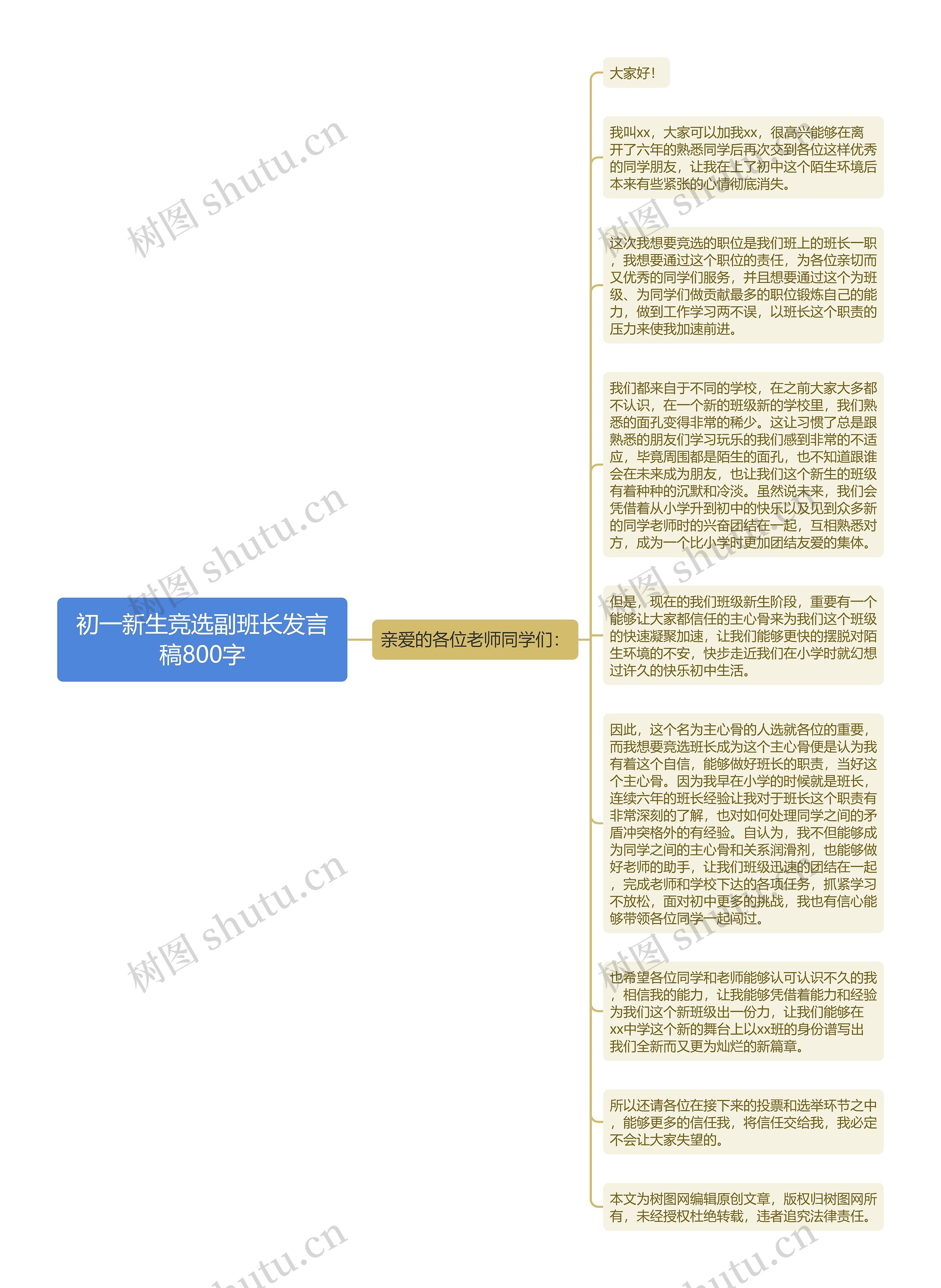 初一新生竞选副班长发言稿800字思维导图