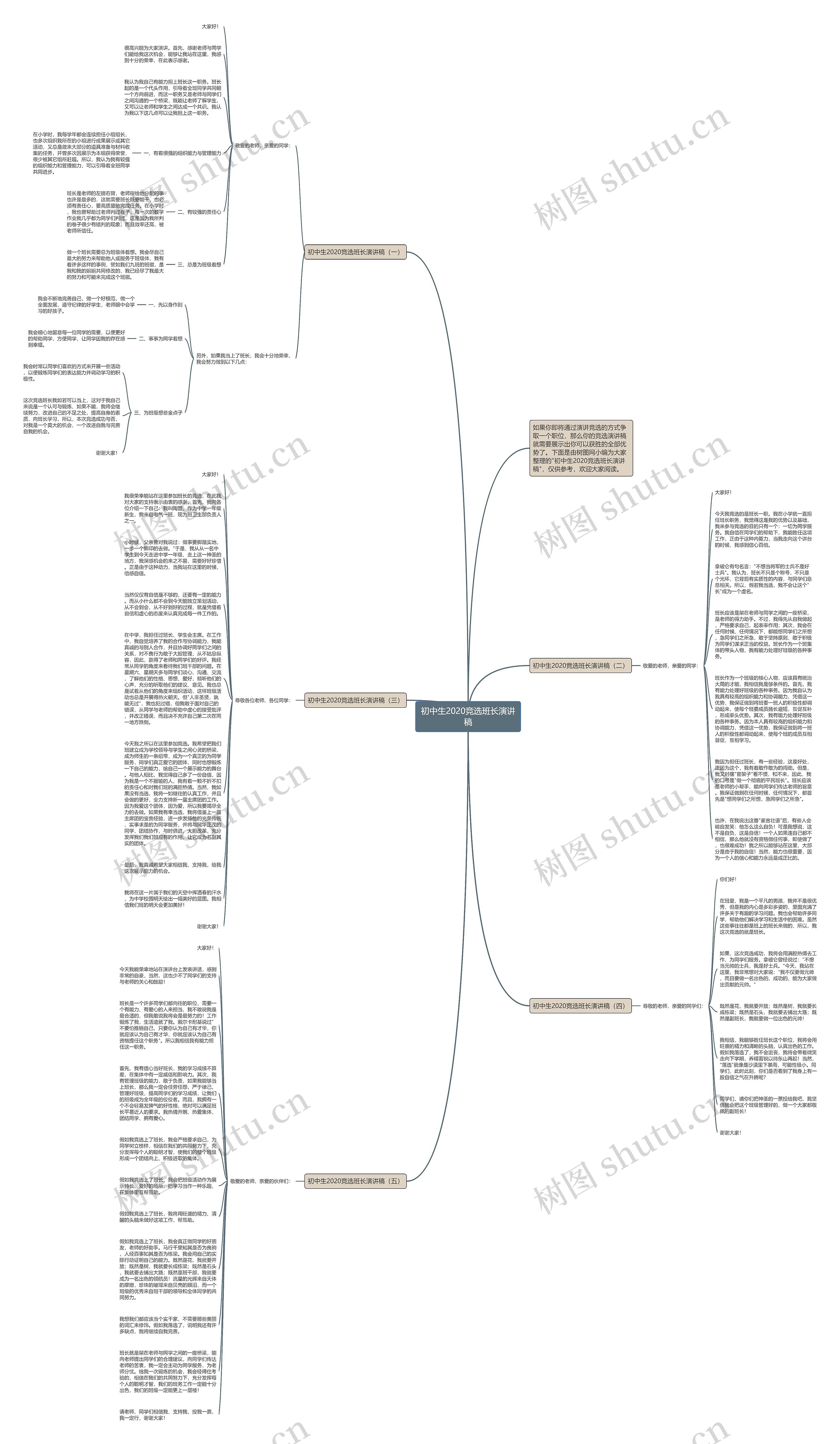 初中生2020竞选班长演讲稿思维导图