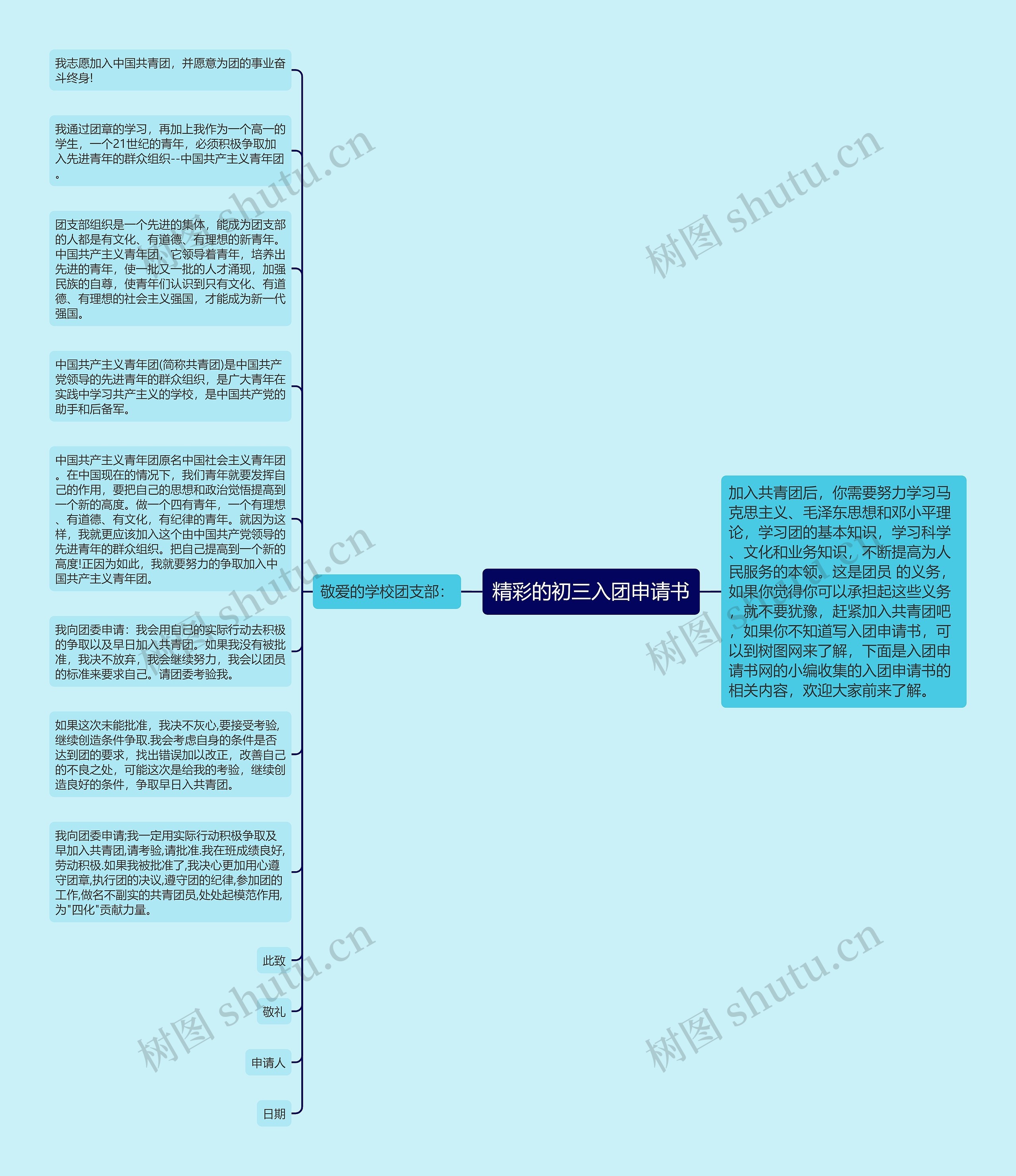 精彩的初三入团申请书