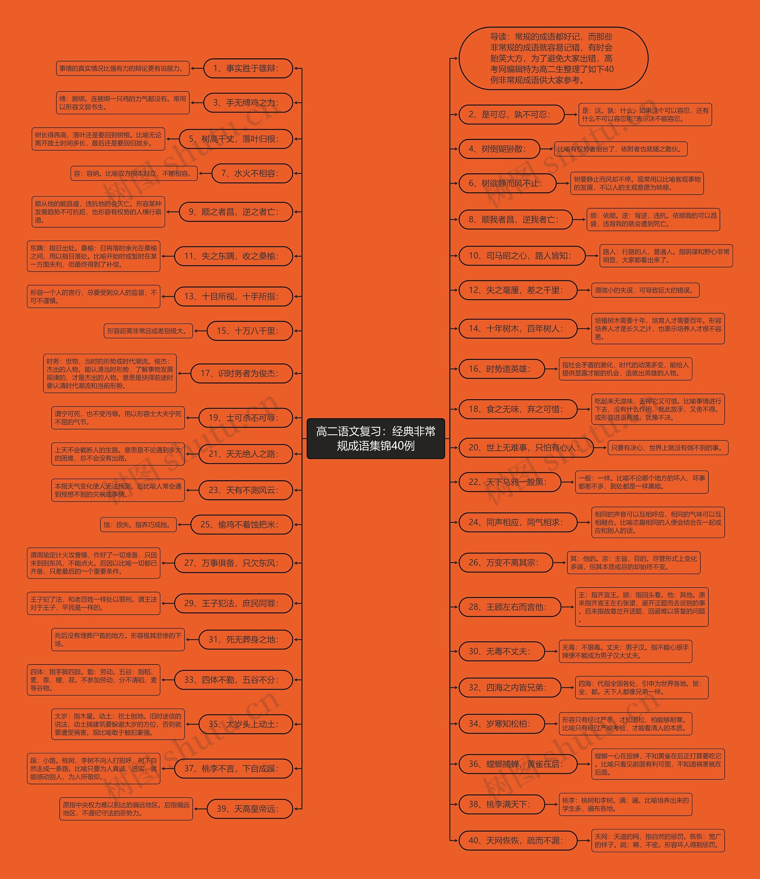 高二语文复习：经典非常规成语集锦40例思维导图