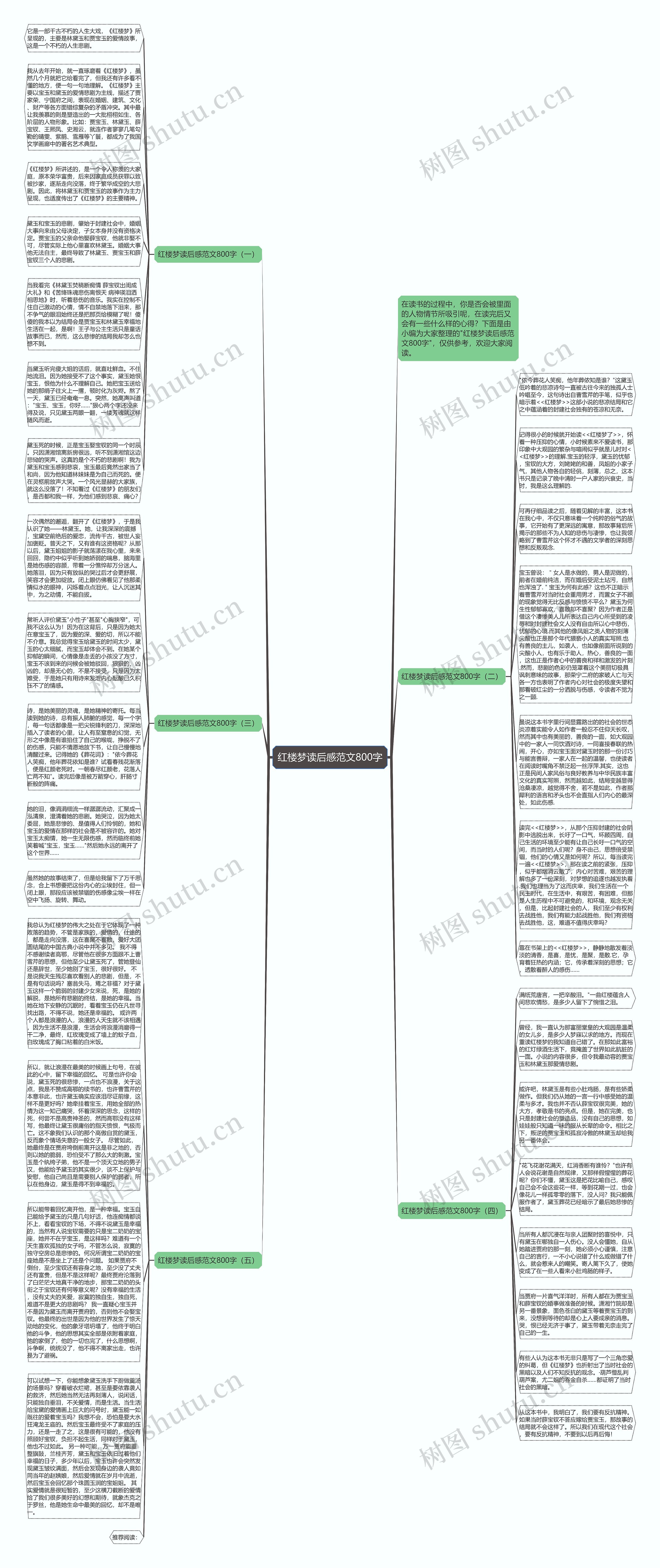 红楼梦读后感范文800字思维导图
