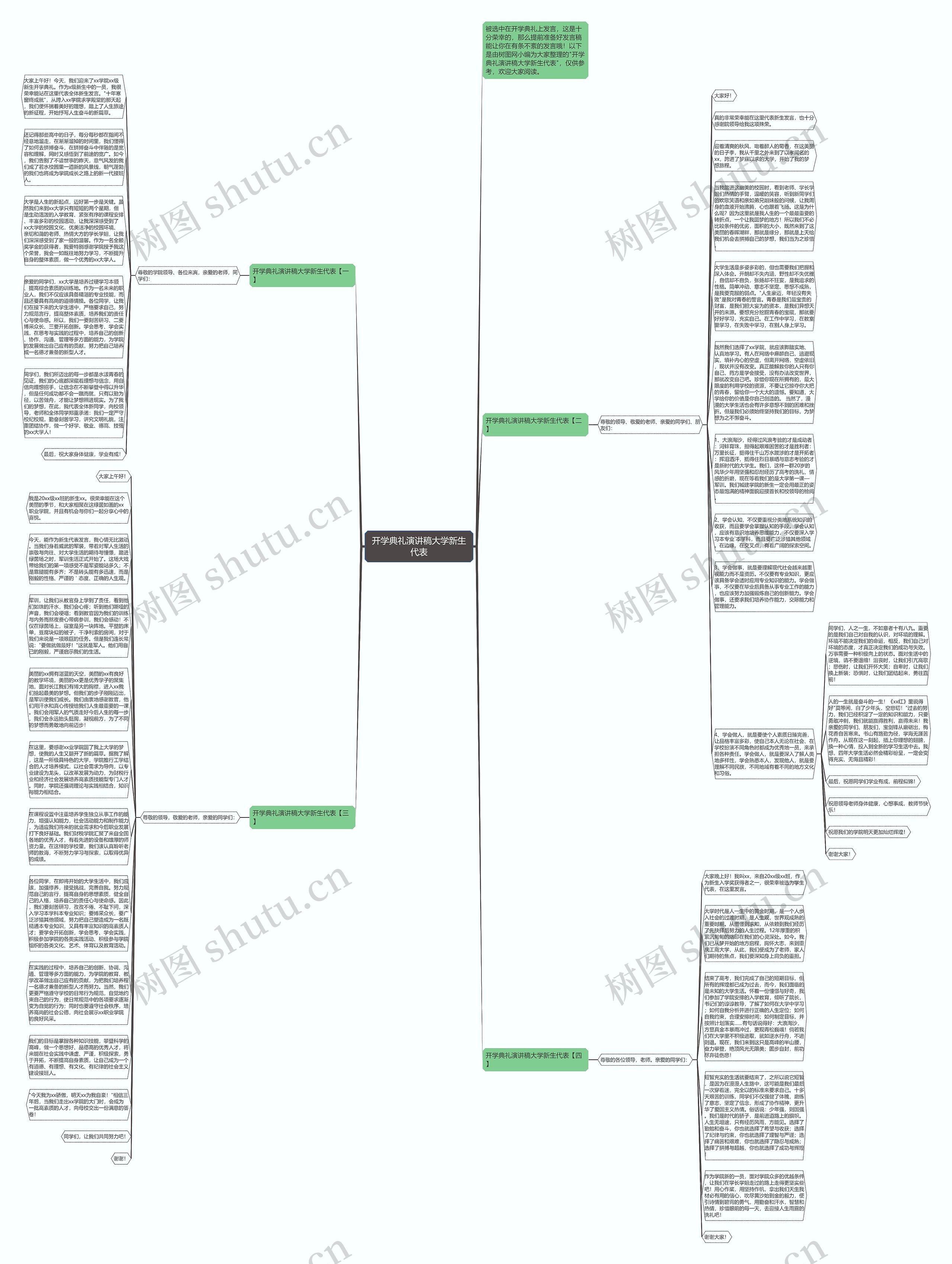 开学典礼演讲稿大学新生代表思维导图