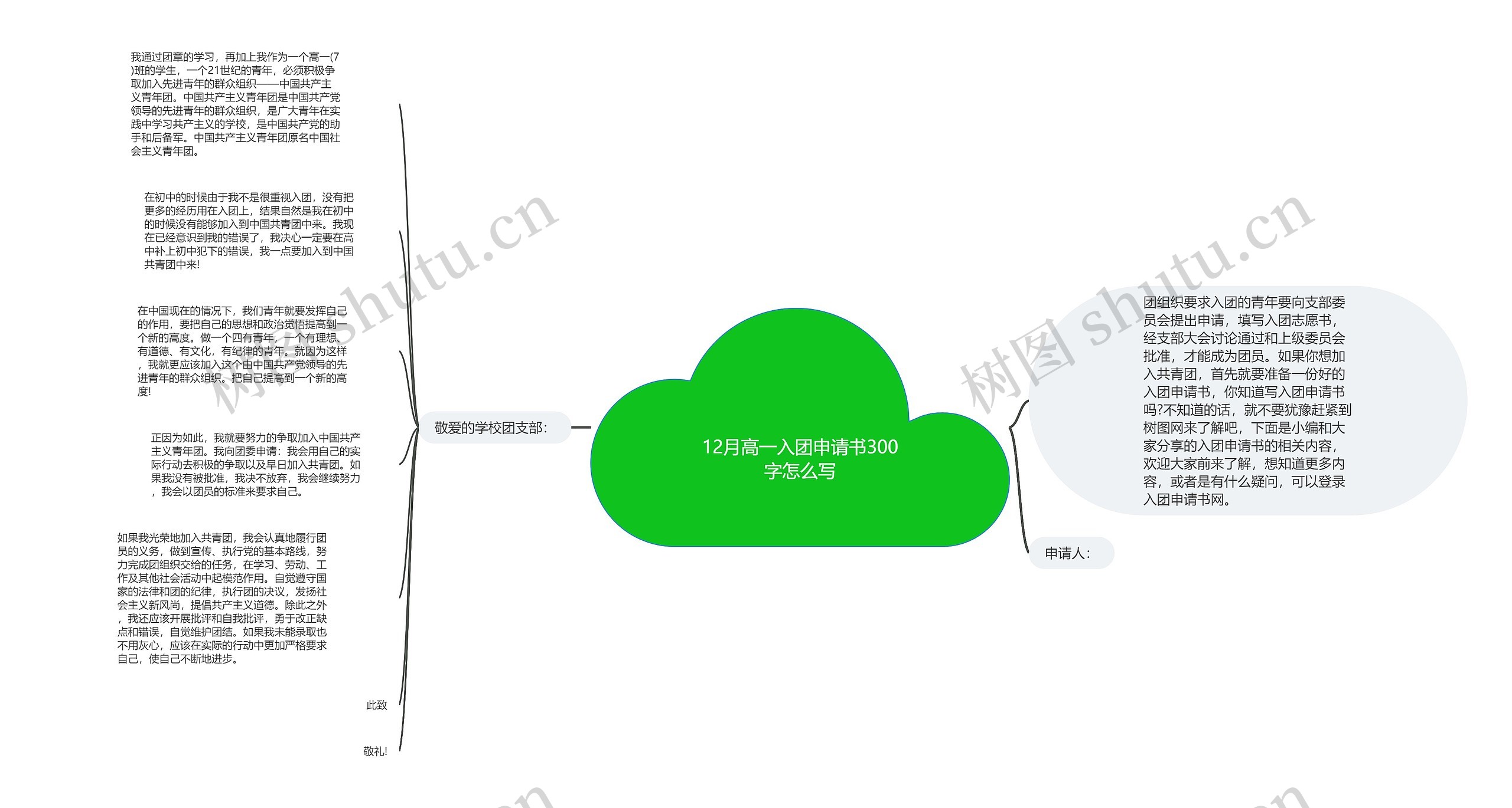12月高一入团申请书300字怎么写思维导图