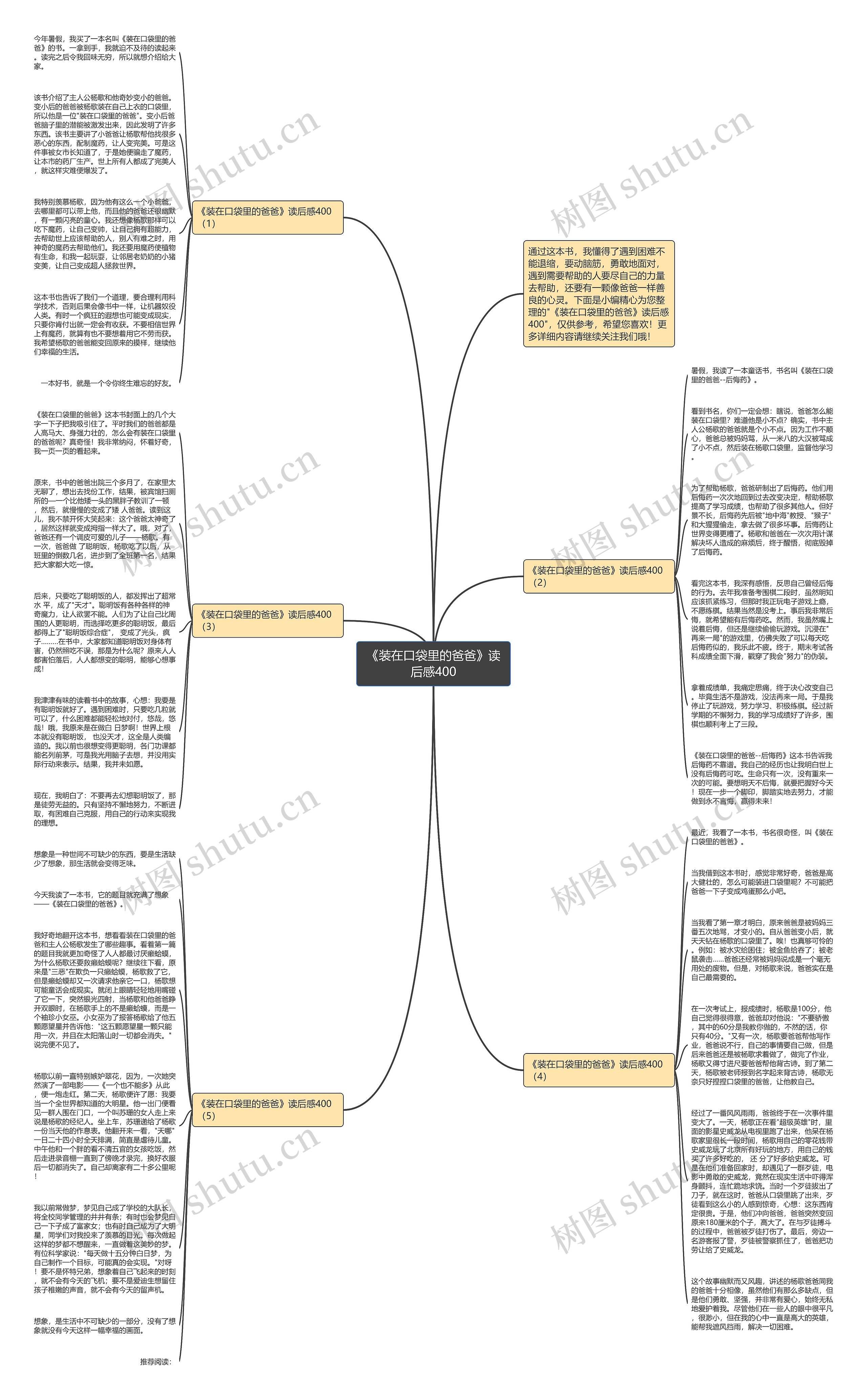 《装在口袋里的爸爸》读后感400思维导图