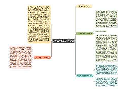 高中实习班主任教学计划