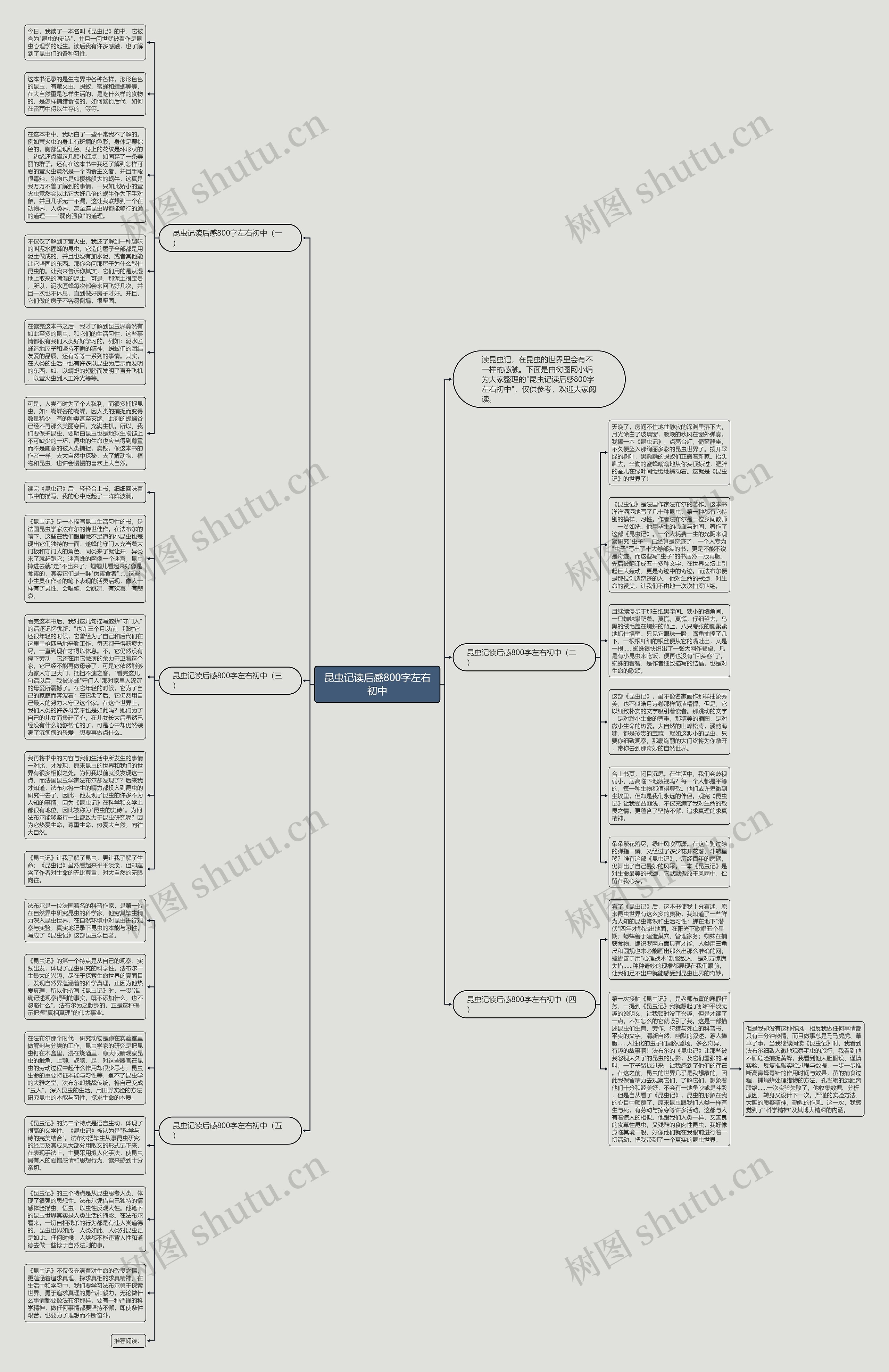 昆虫记读后感800字左右初中思维导图