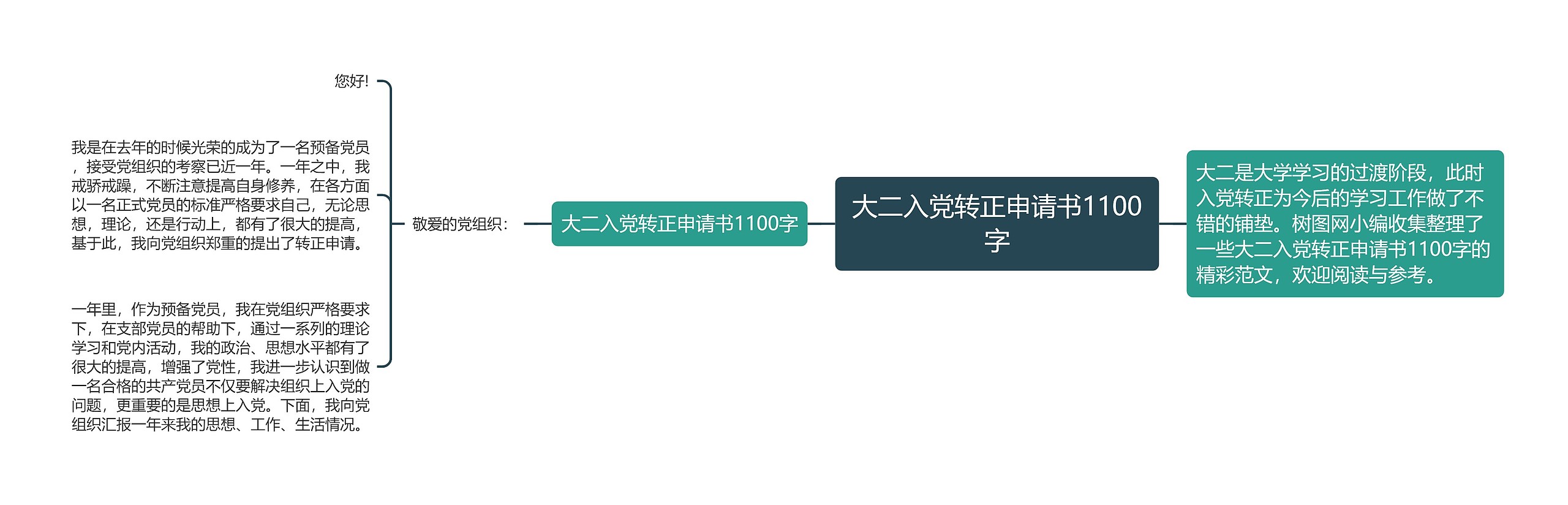 大二入党转正申请书1100字