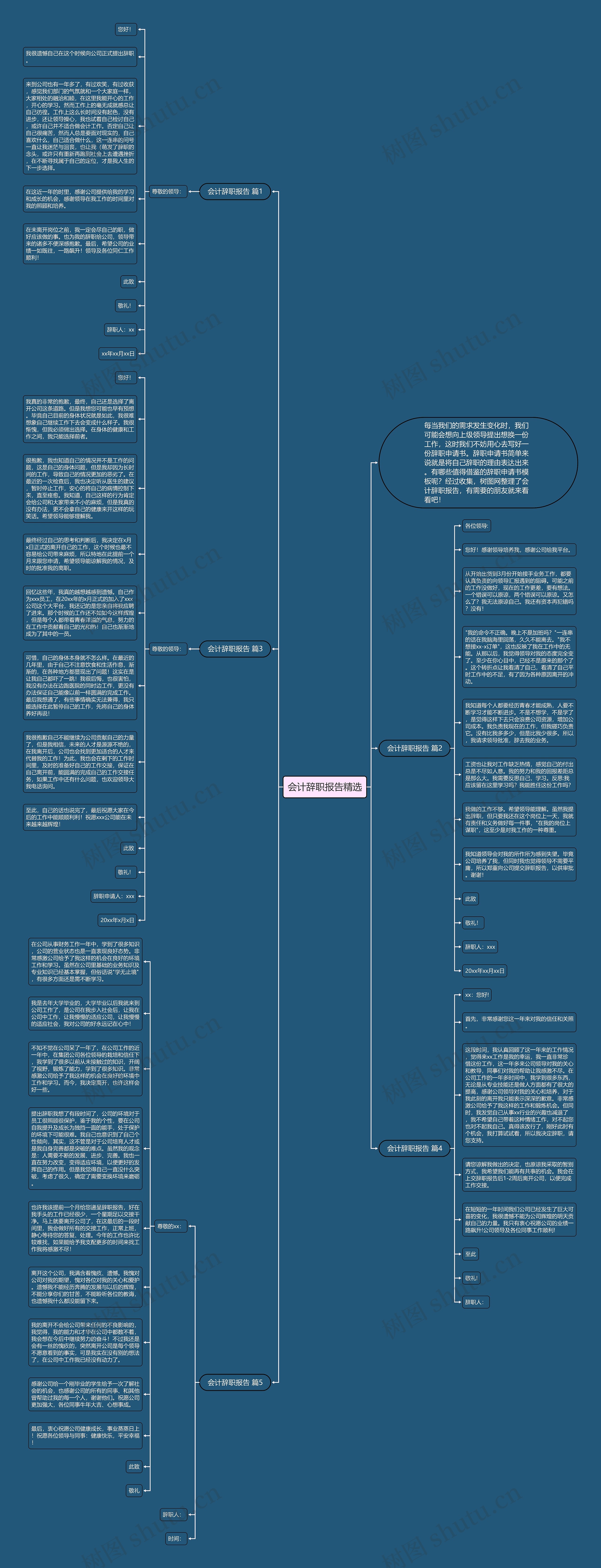 会计辞职报告精选思维导图