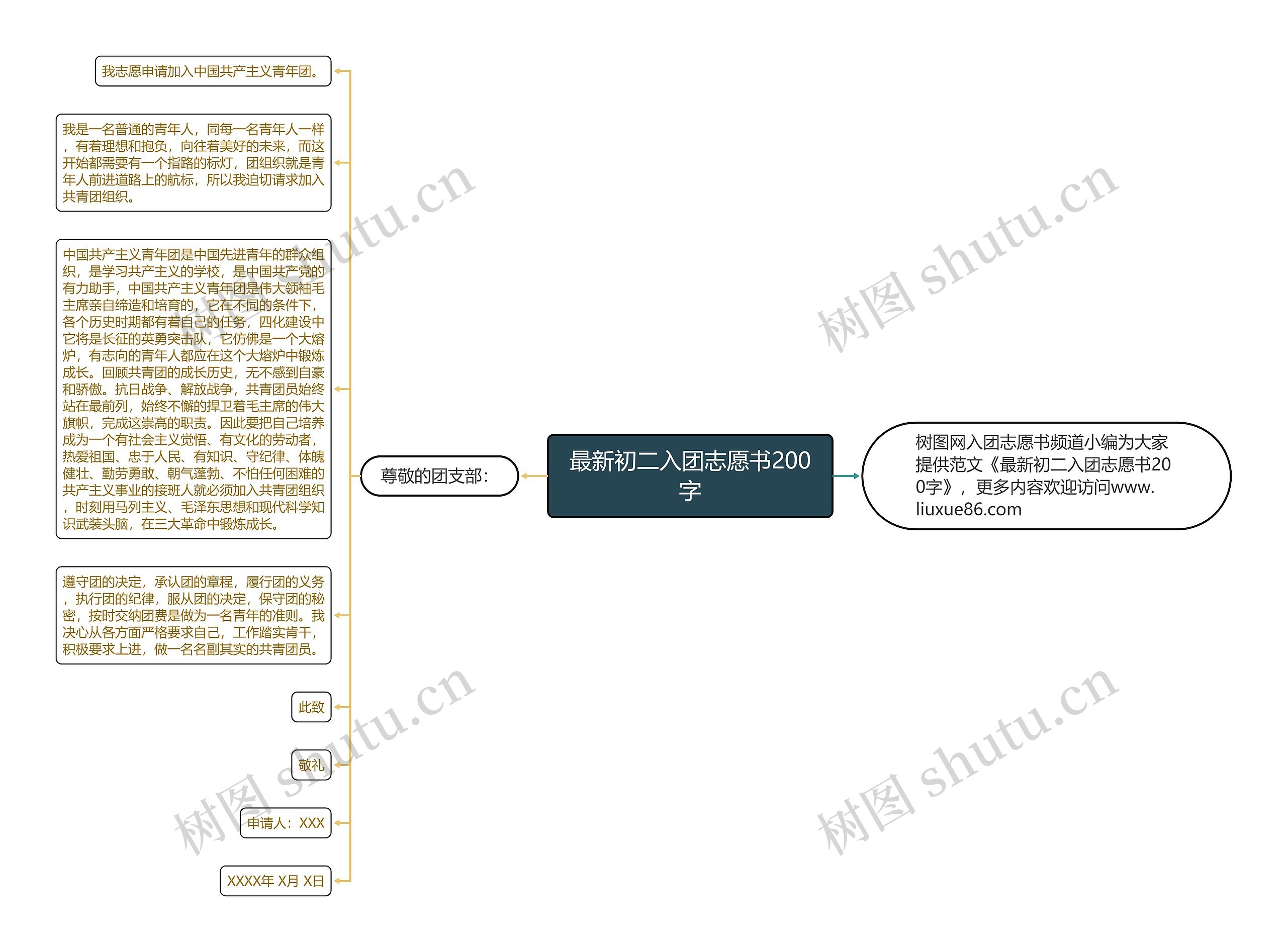 最新初二入团志愿书200字思维导图