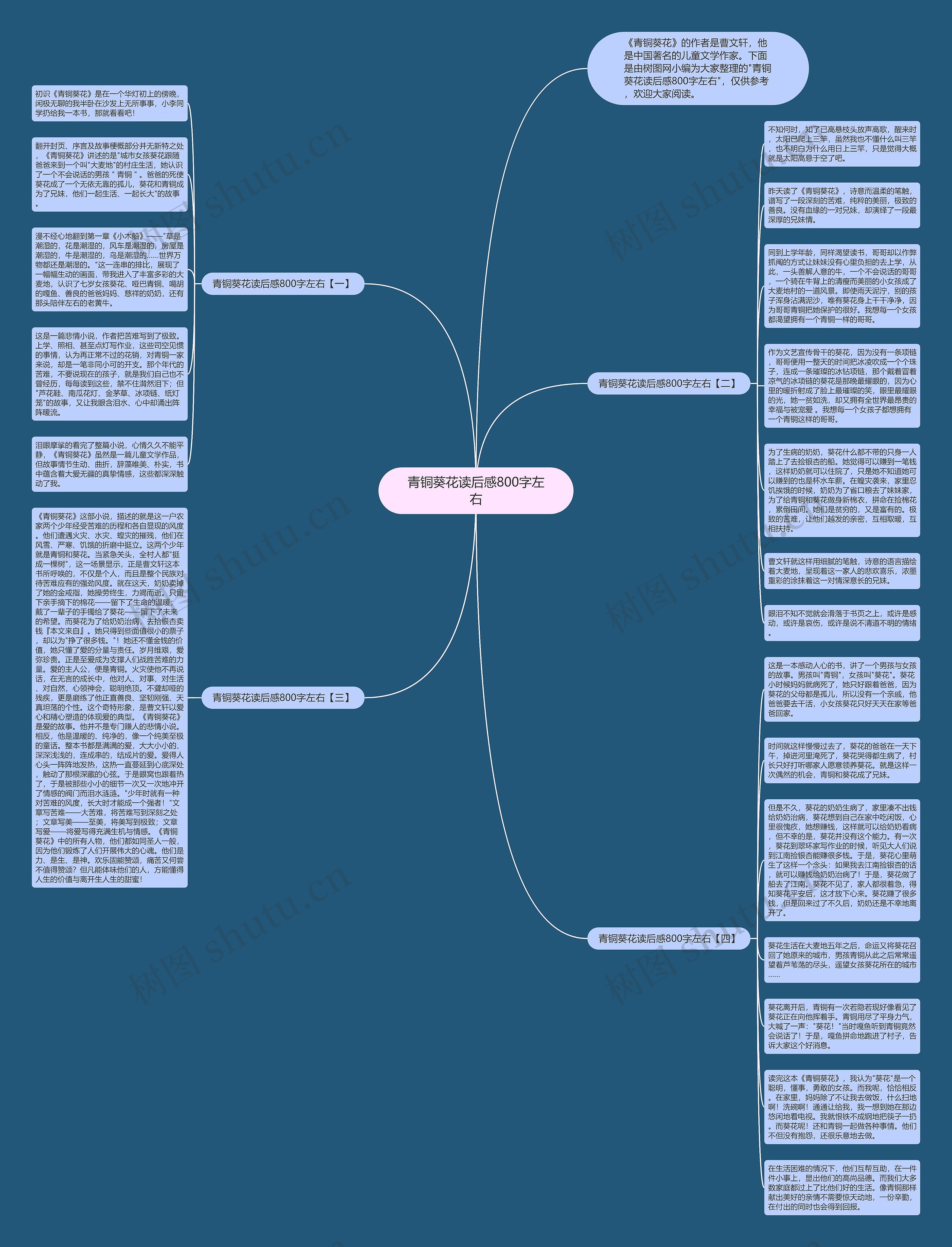 青铜葵花读后感800字左右思维导图