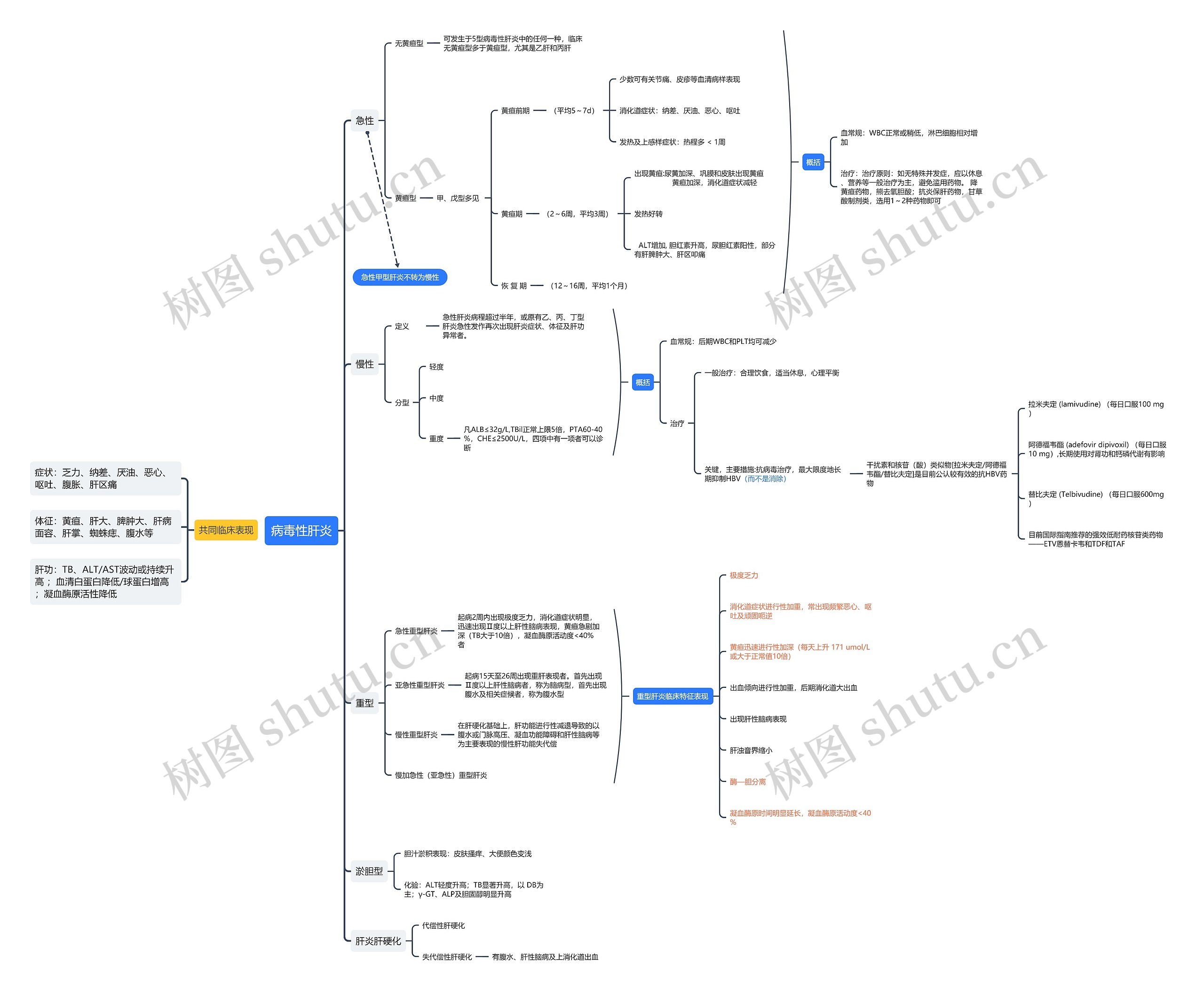 病毒性肝炎思维导图