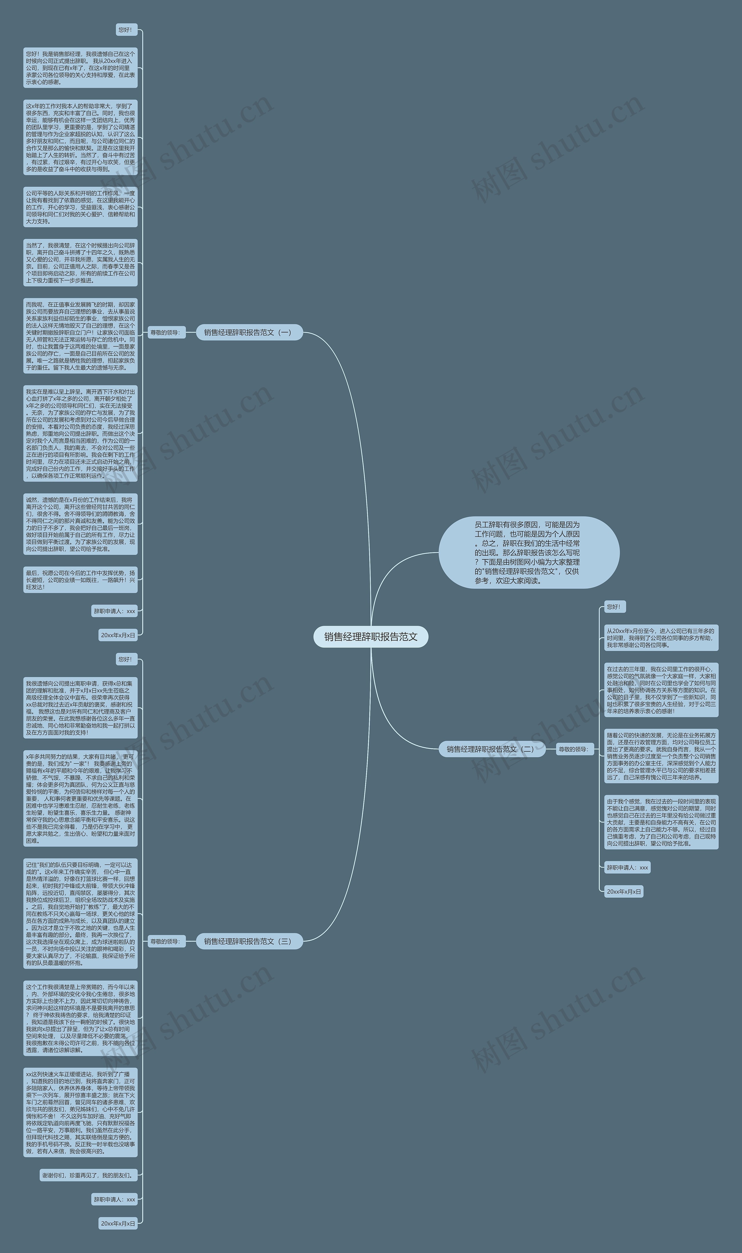 销售经理辞职报告范文思维导图