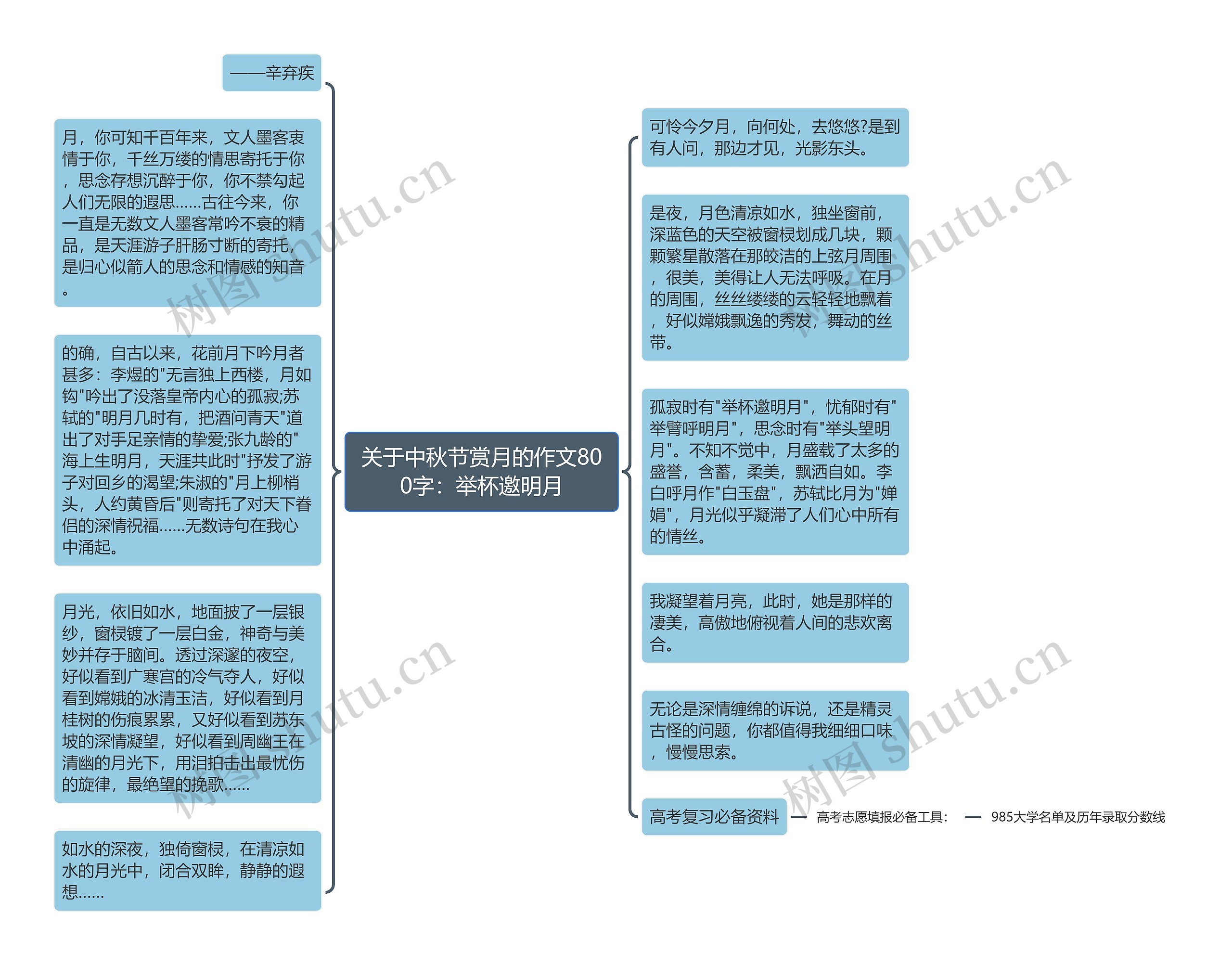 关于中秋节赏月的作文800字：举杯邀明月思维导图