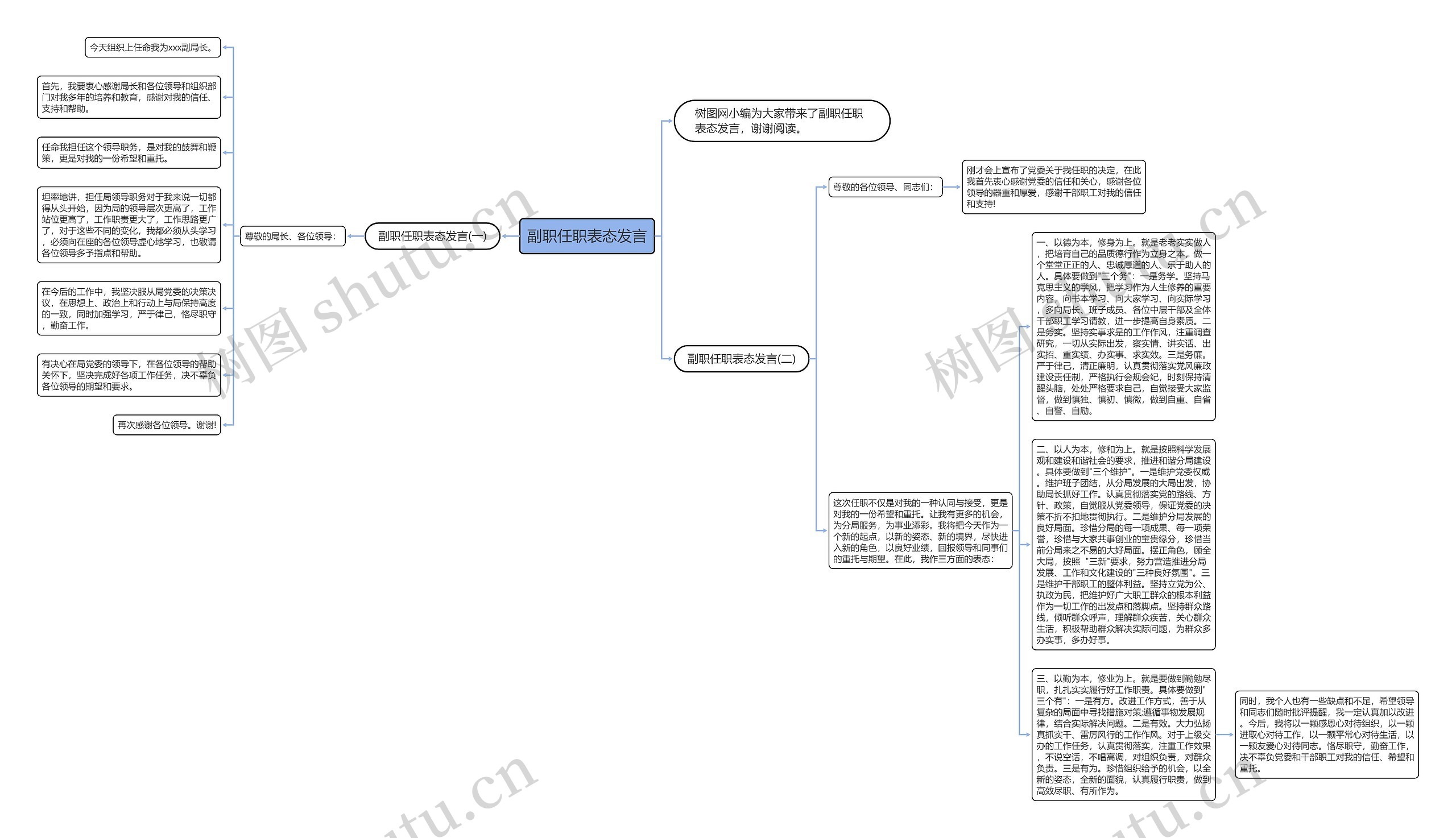 副职任职表态发言思维导图