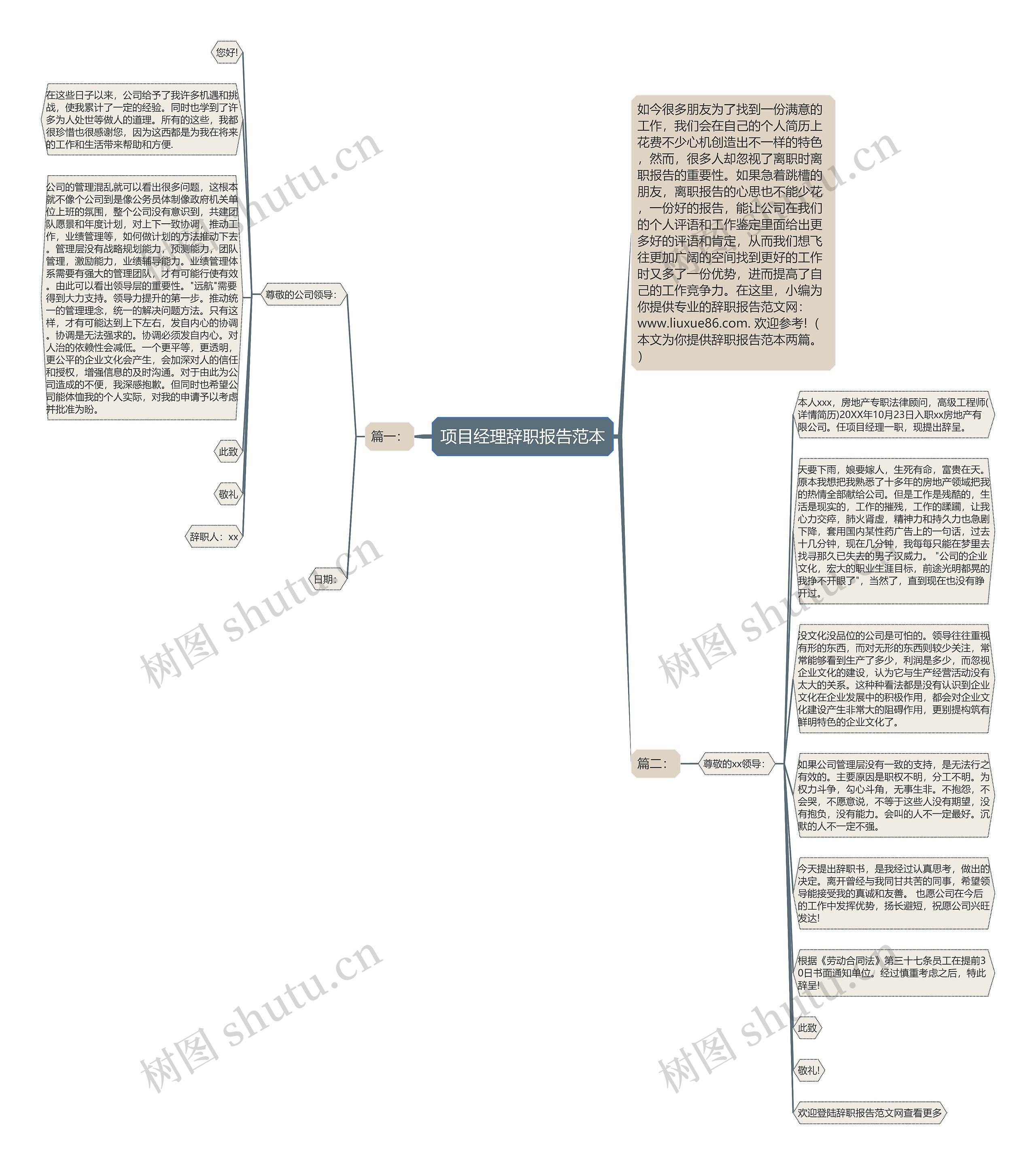项目经理辞职报告范本思维导图