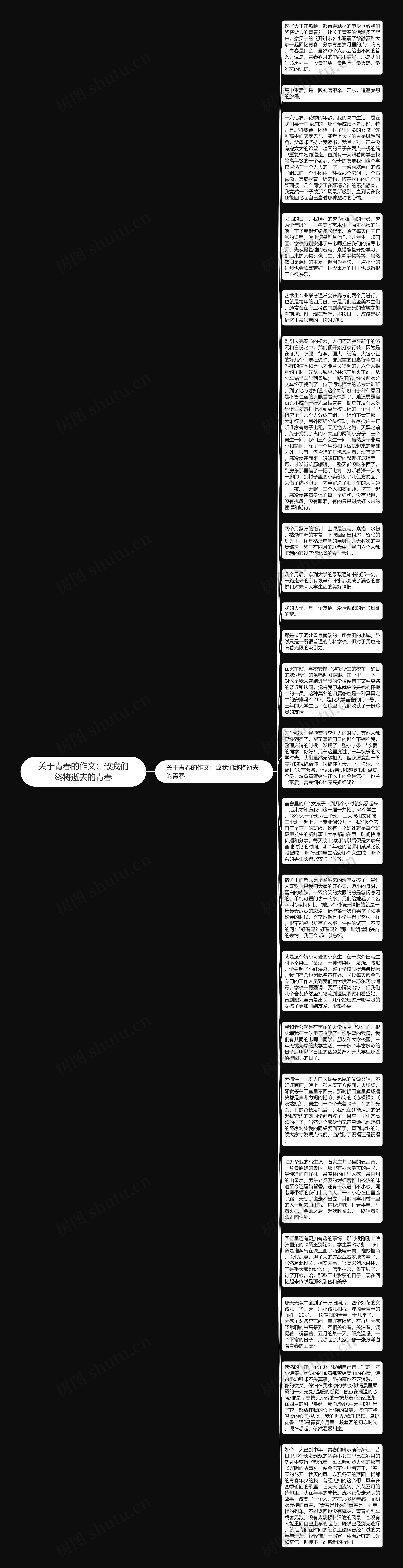 关于青春的作文：致我们终将逝去的青春