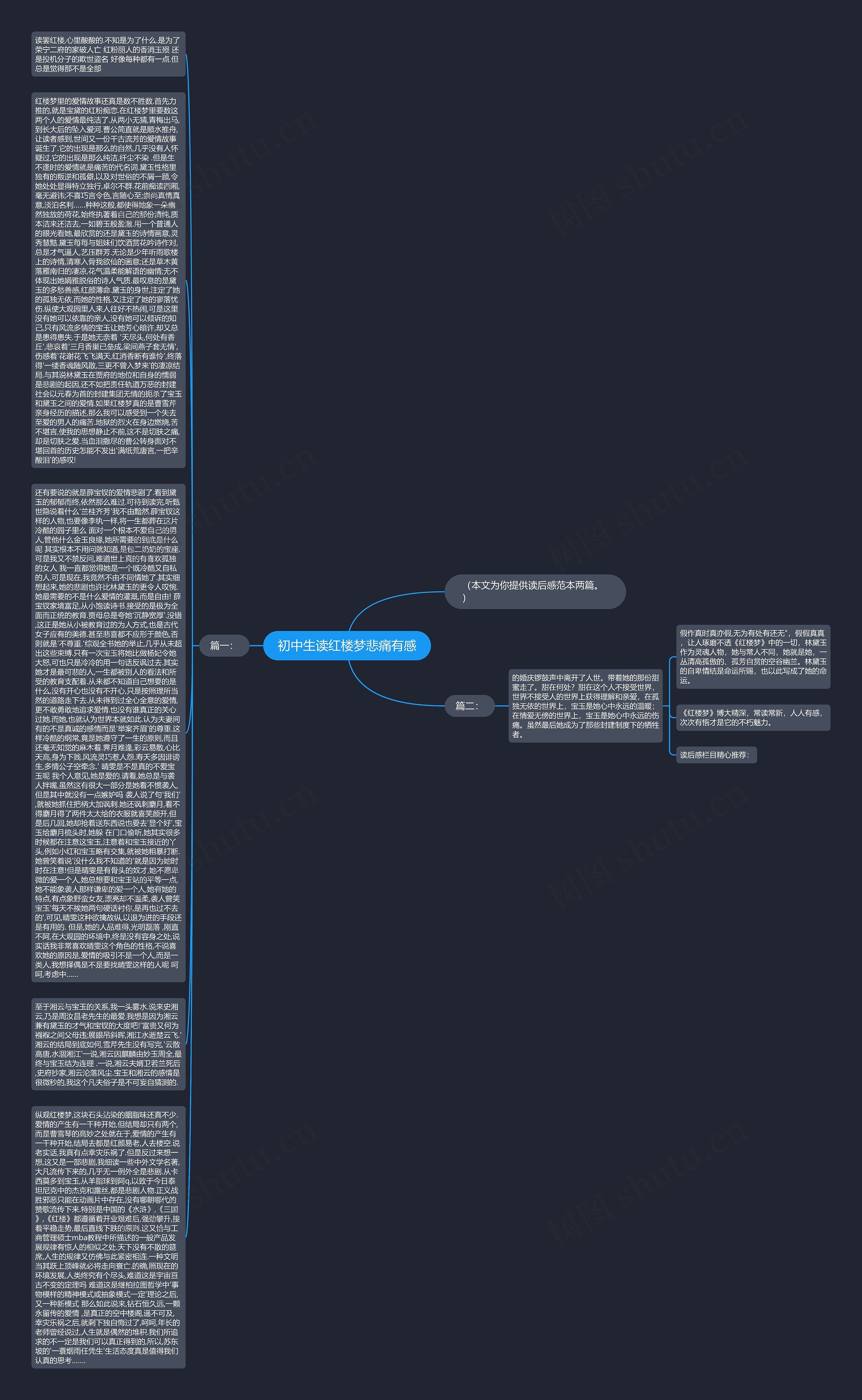 初中生读红楼梦悲痛有感思维导图