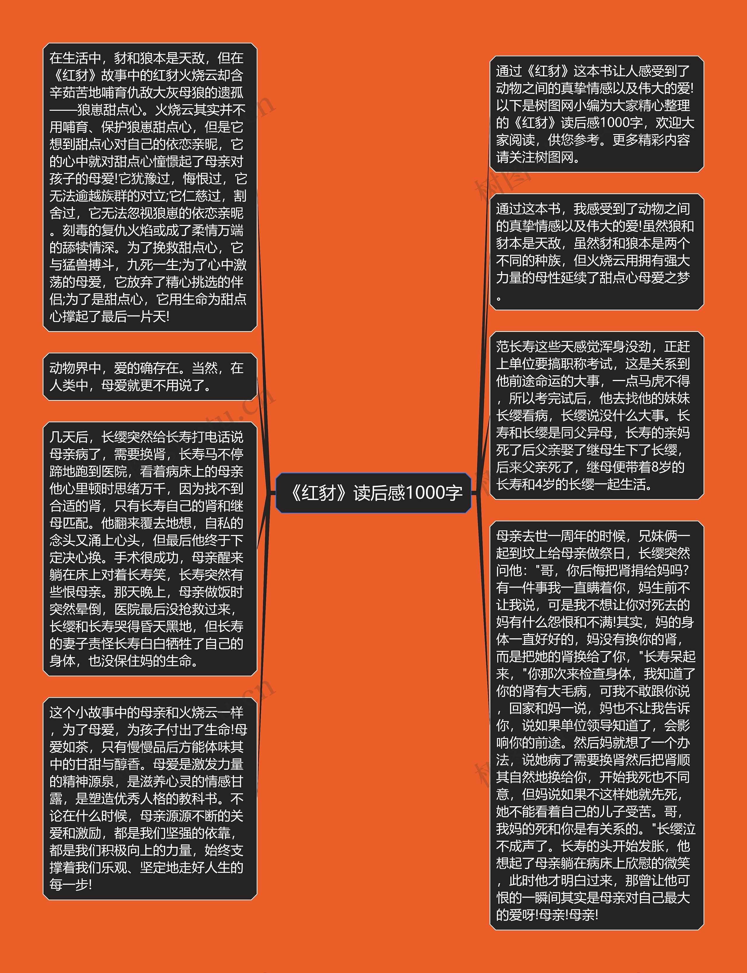 《红豺》读后感1000字思维导图