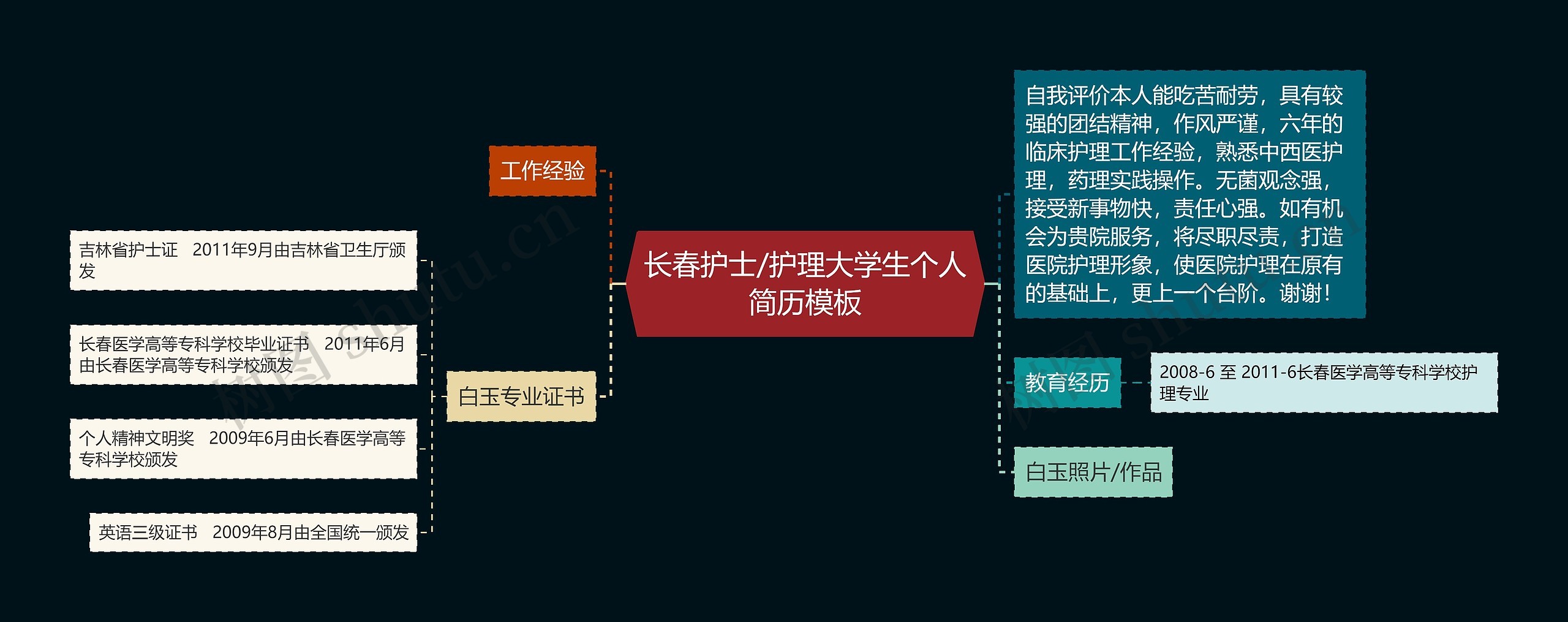 长春护士/护理大学生个人简历模板