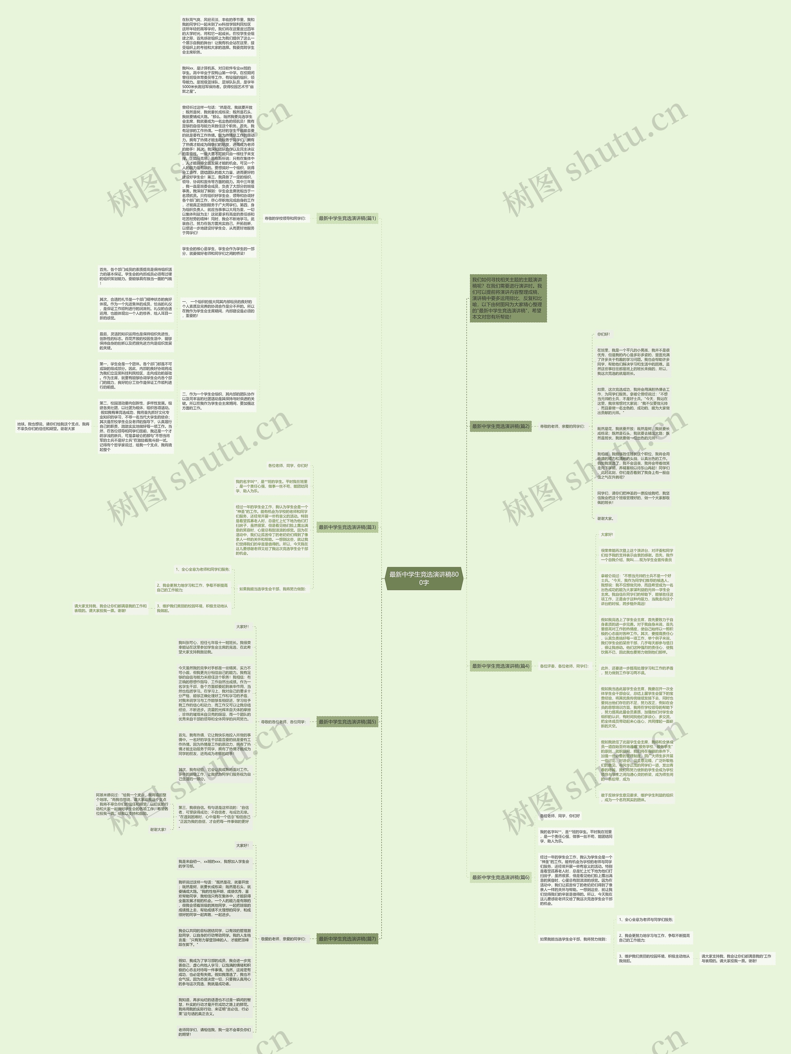 最新中学生竞选演讲稿800字思维导图