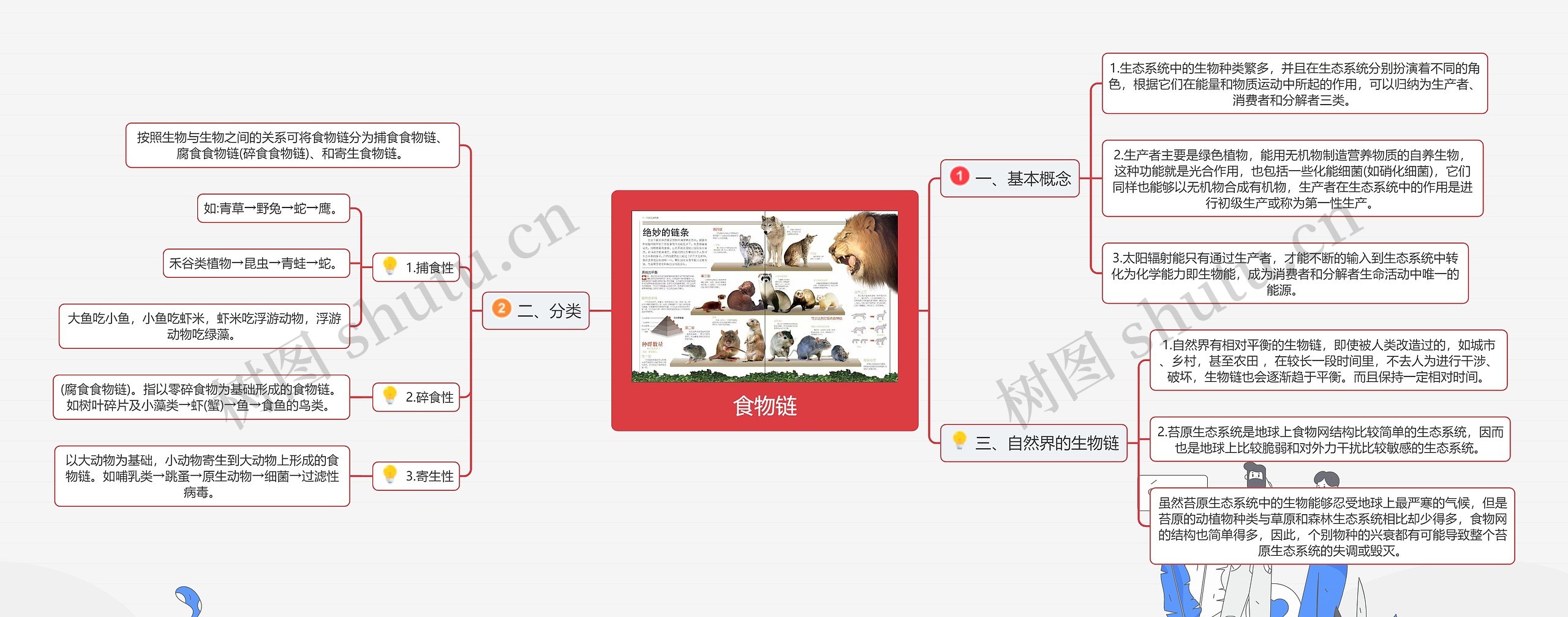 食物链思维导图