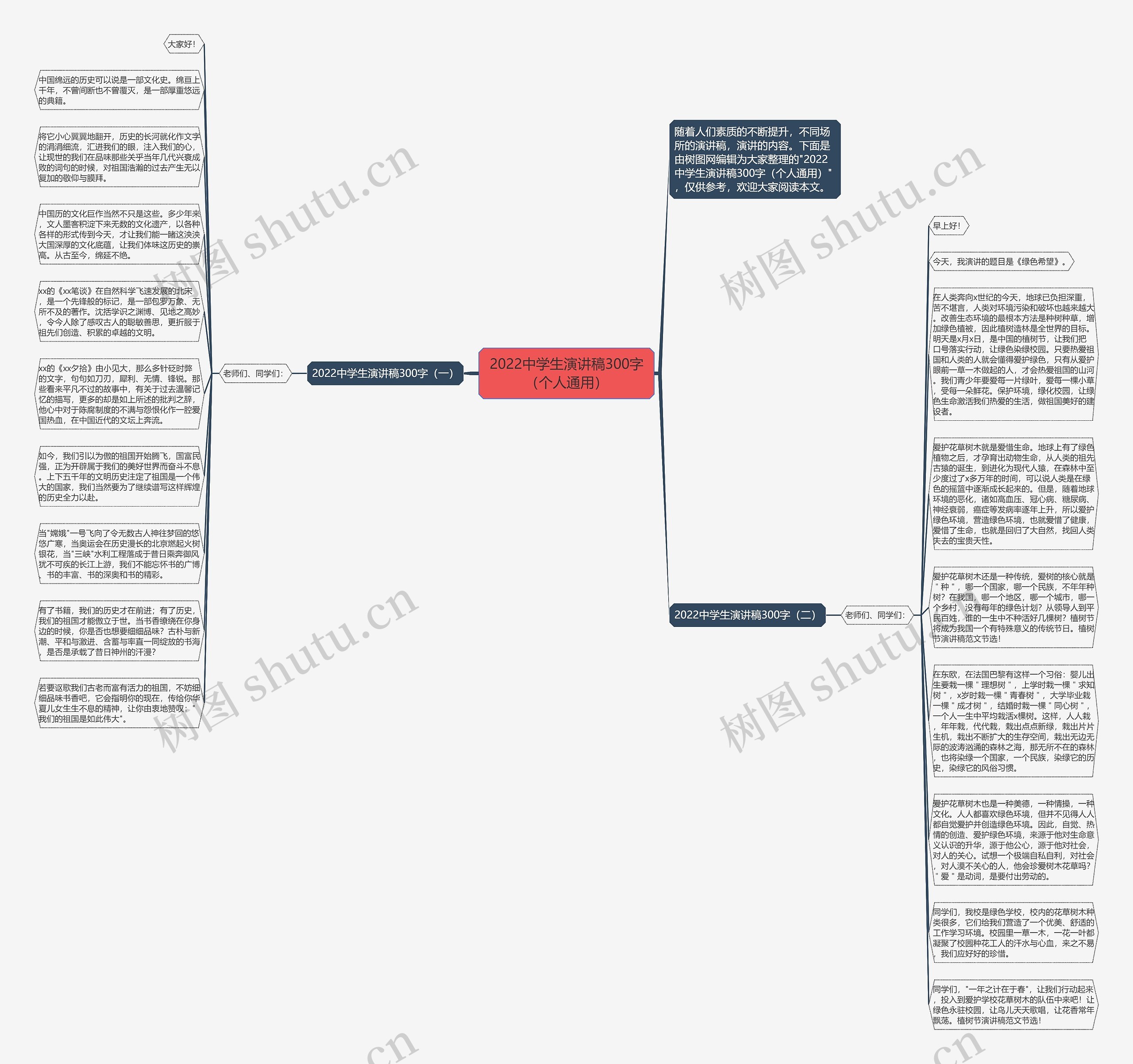 2022中学生演讲稿300字（个人通用）思维导图