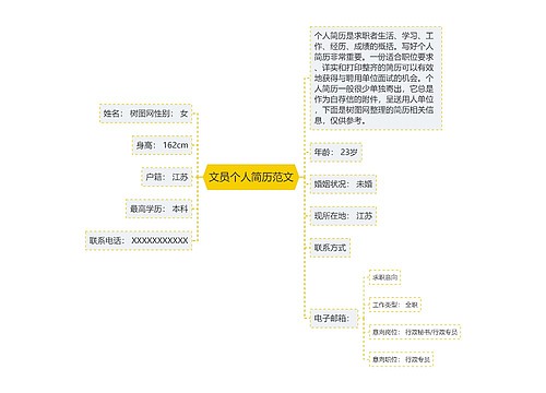 文员个人简历范文