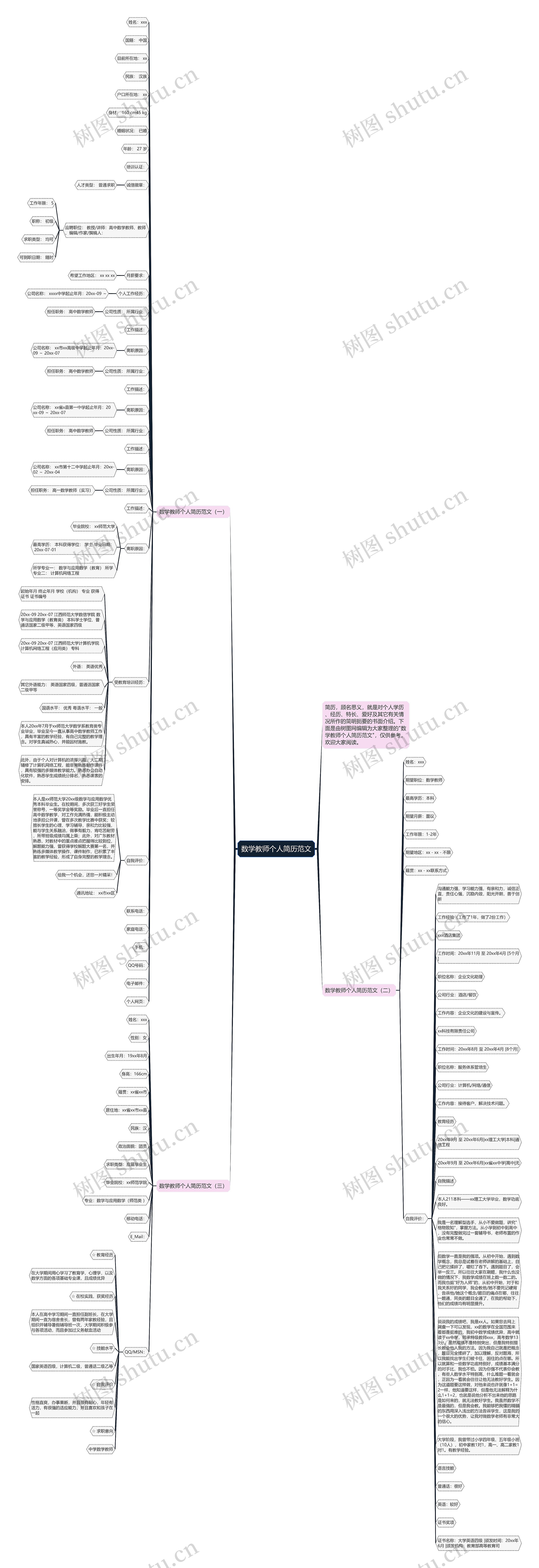 数学教师个人简历范文思维导图