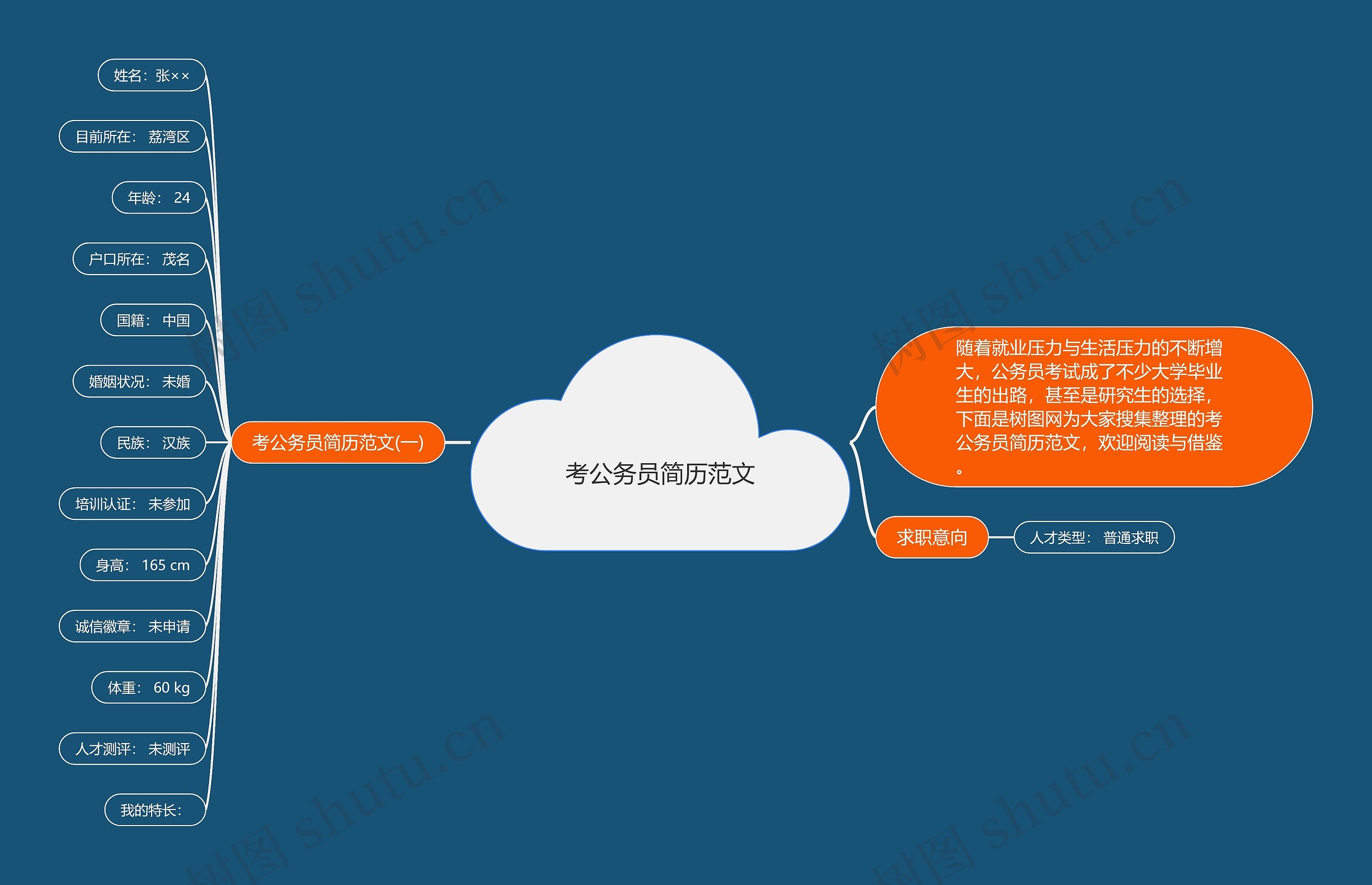 考公务员简历范文思维导图