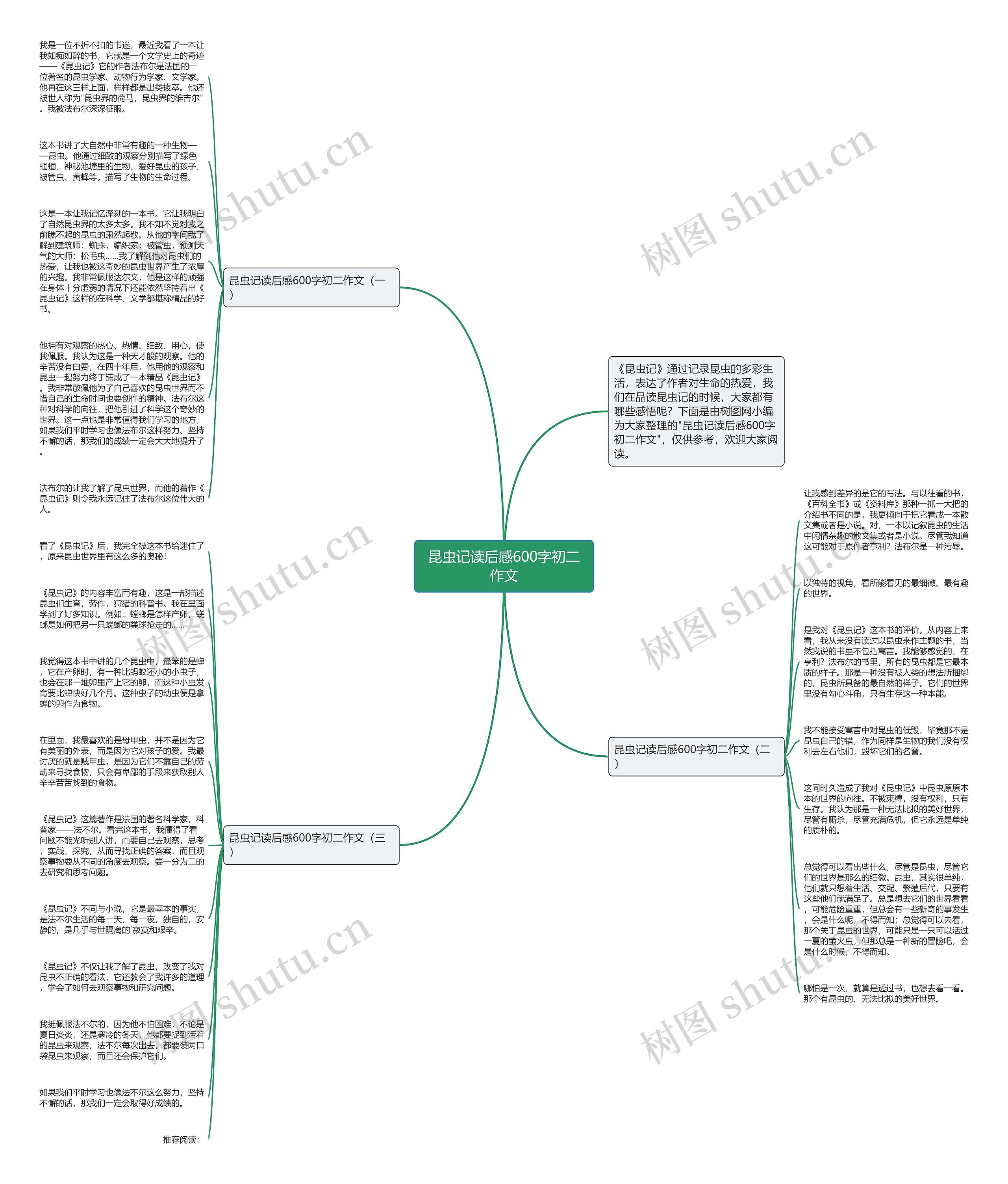 昆虫记读后感600字初二作文思维导图