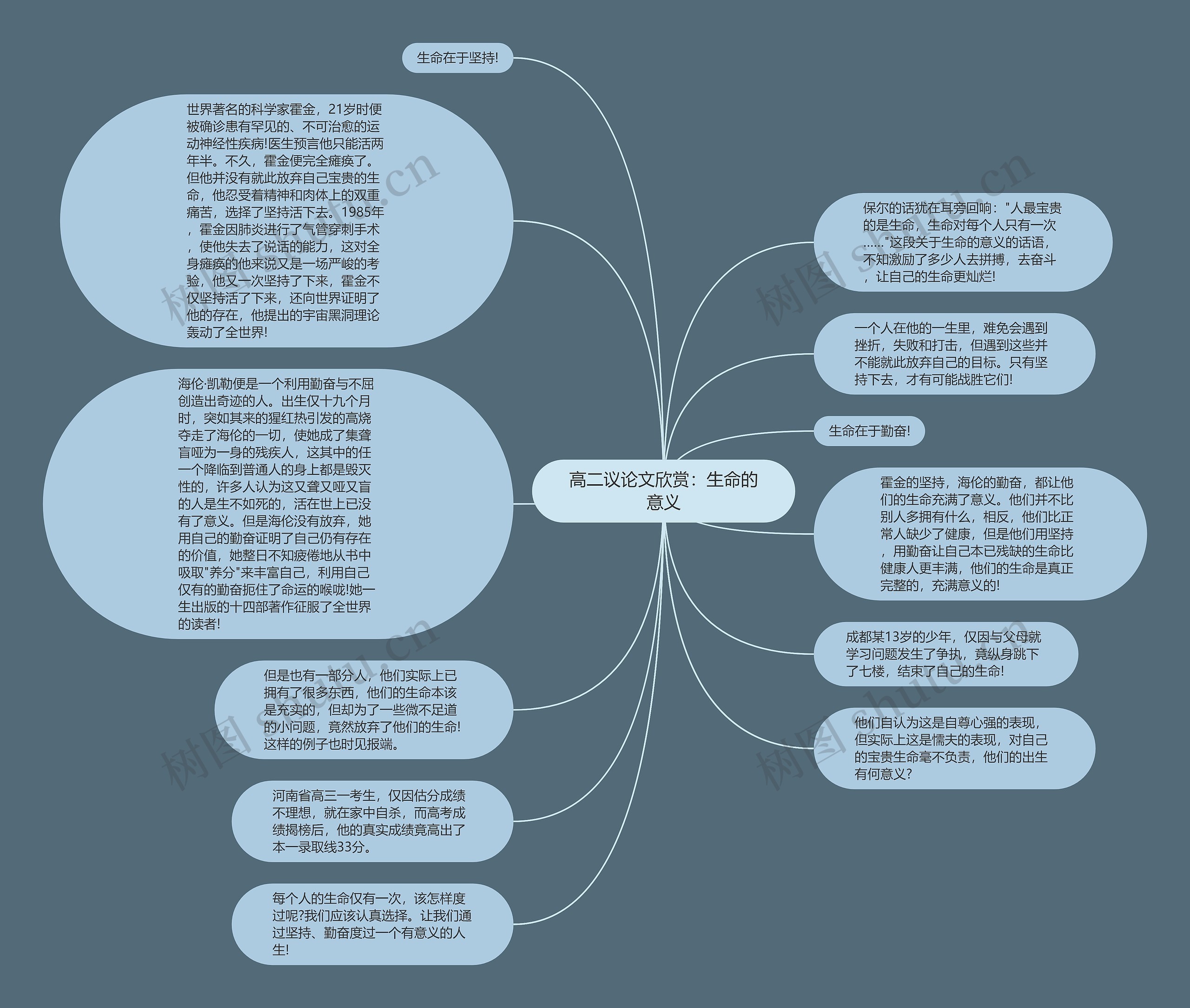高二议论文欣赏：生命的意义思维导图
