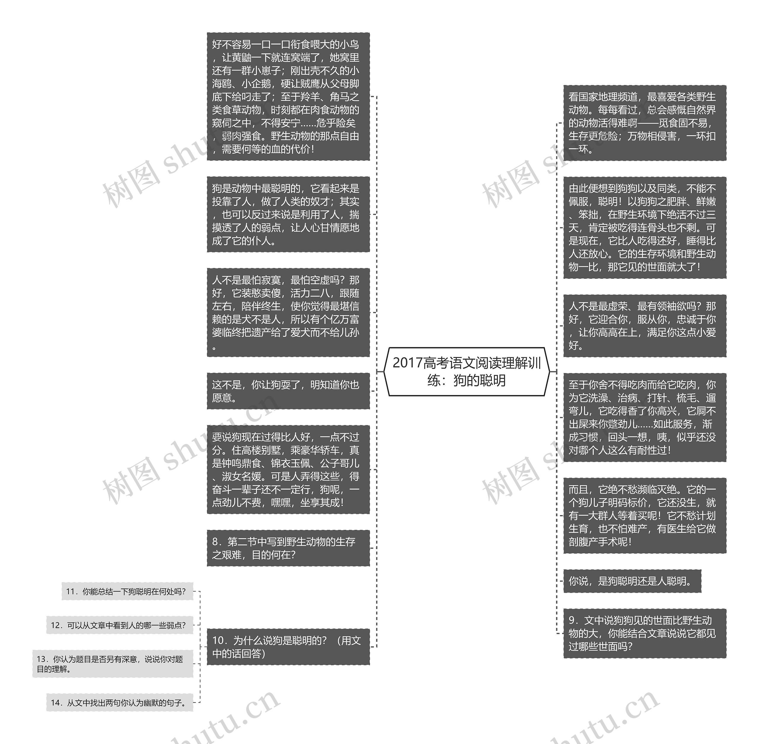 2017高考语文阅读理解训练：狗的聪明思维导图