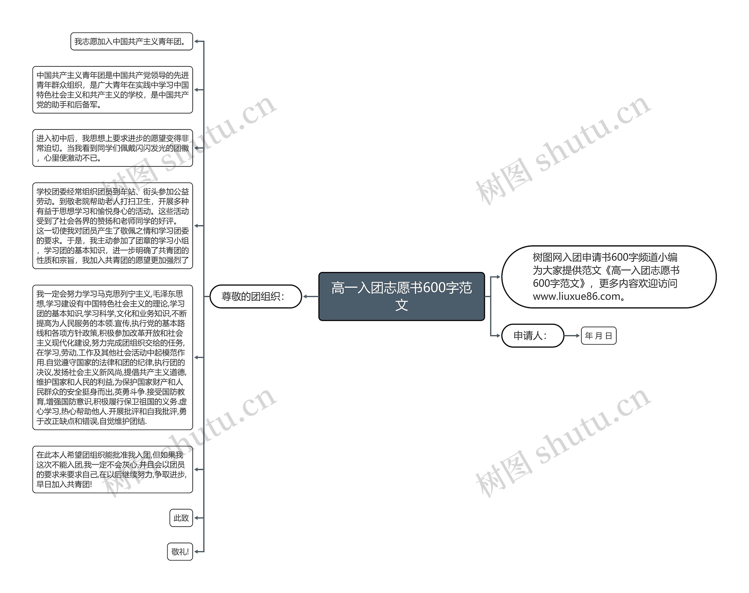 高一入团志愿书600字范文