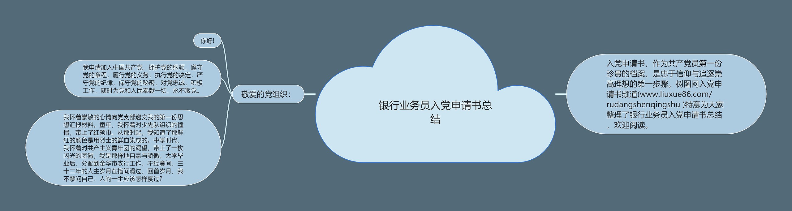 银行业务员入党申请书总结