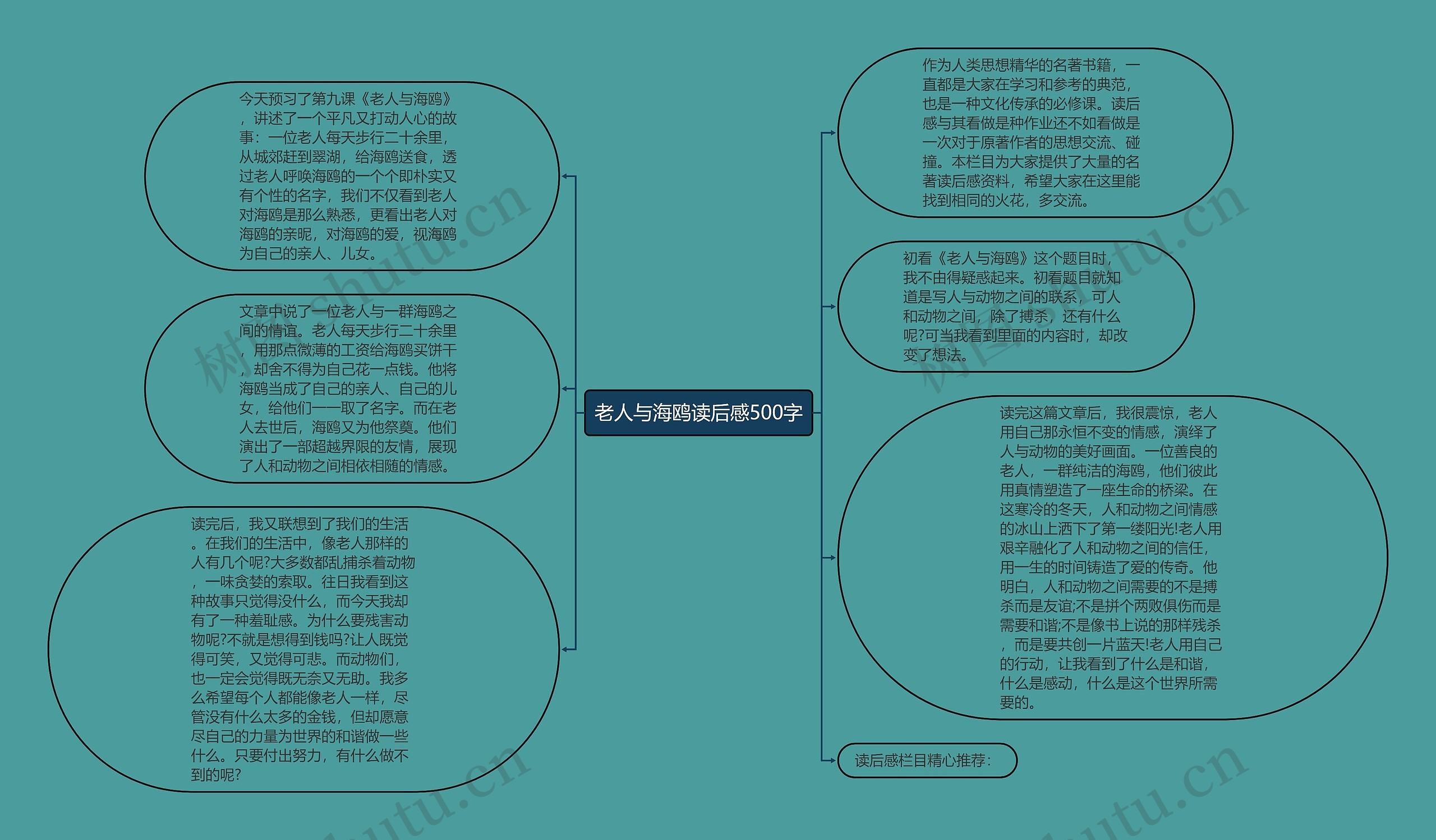 老人与海鸥读后感500字思维导图