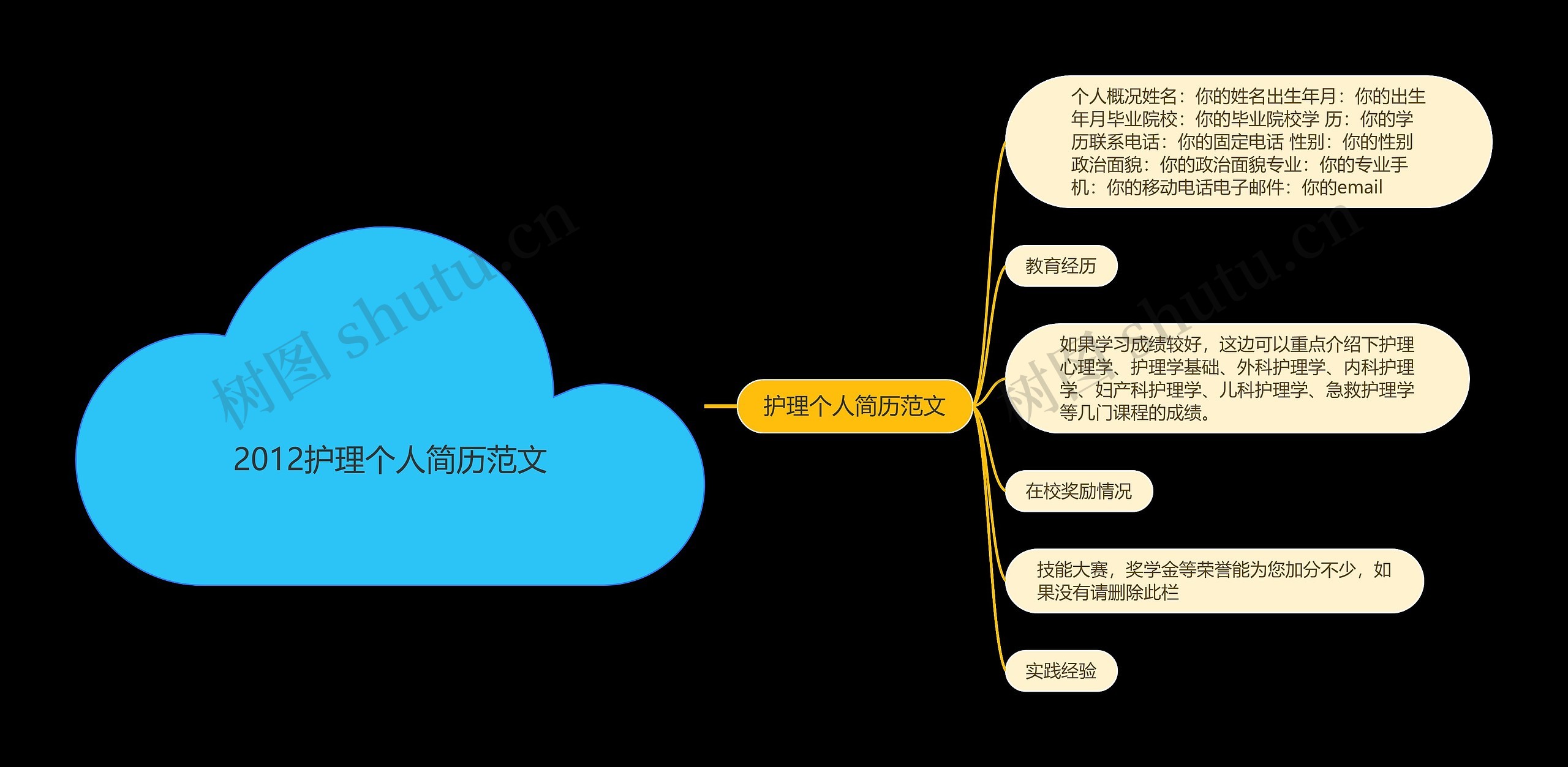 2012护理个人简历范文思维导图