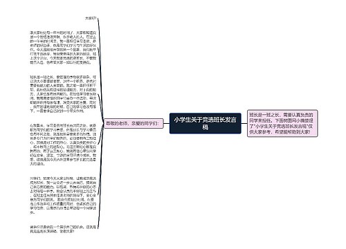 小学生关于竞选班长发言稿