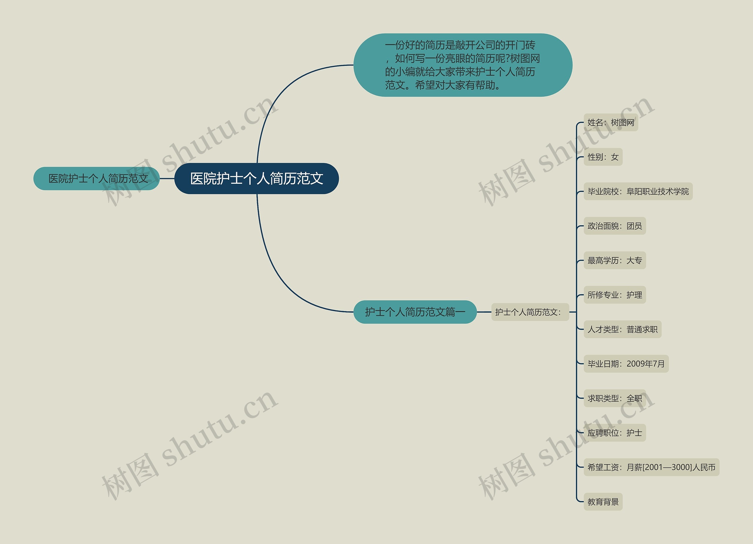 医院护士个人简历范文思维导图