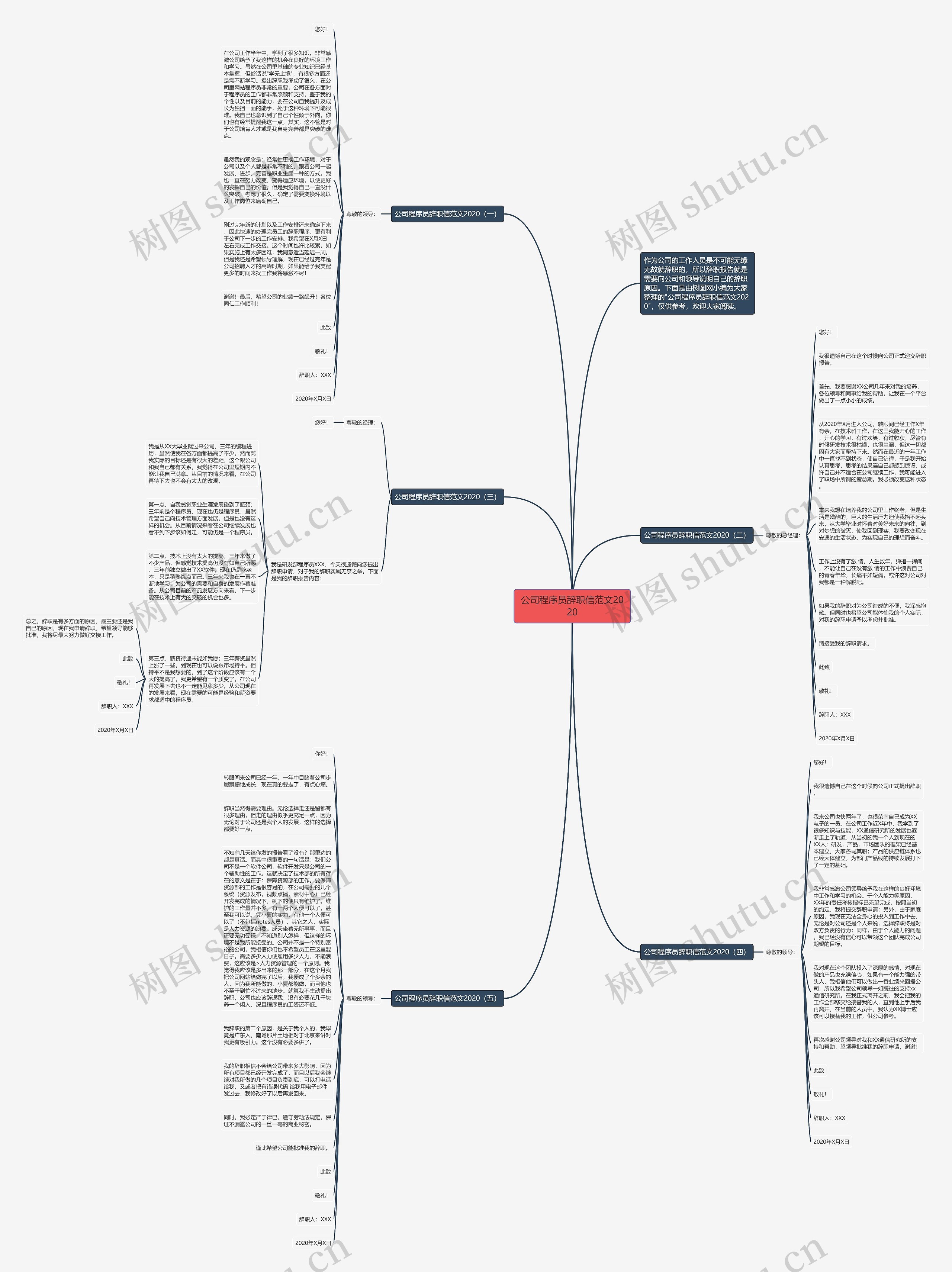 公司程序员辞职信范文2020思维导图