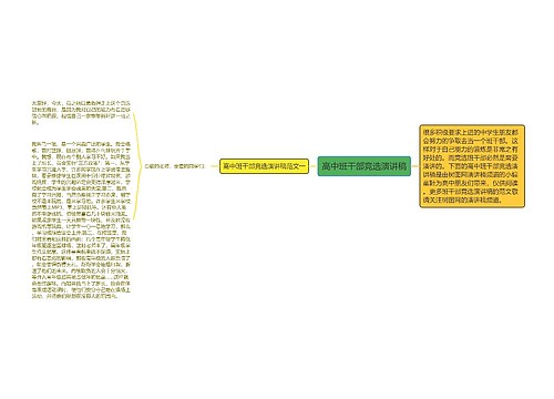 高中班干部竞选演讲稿