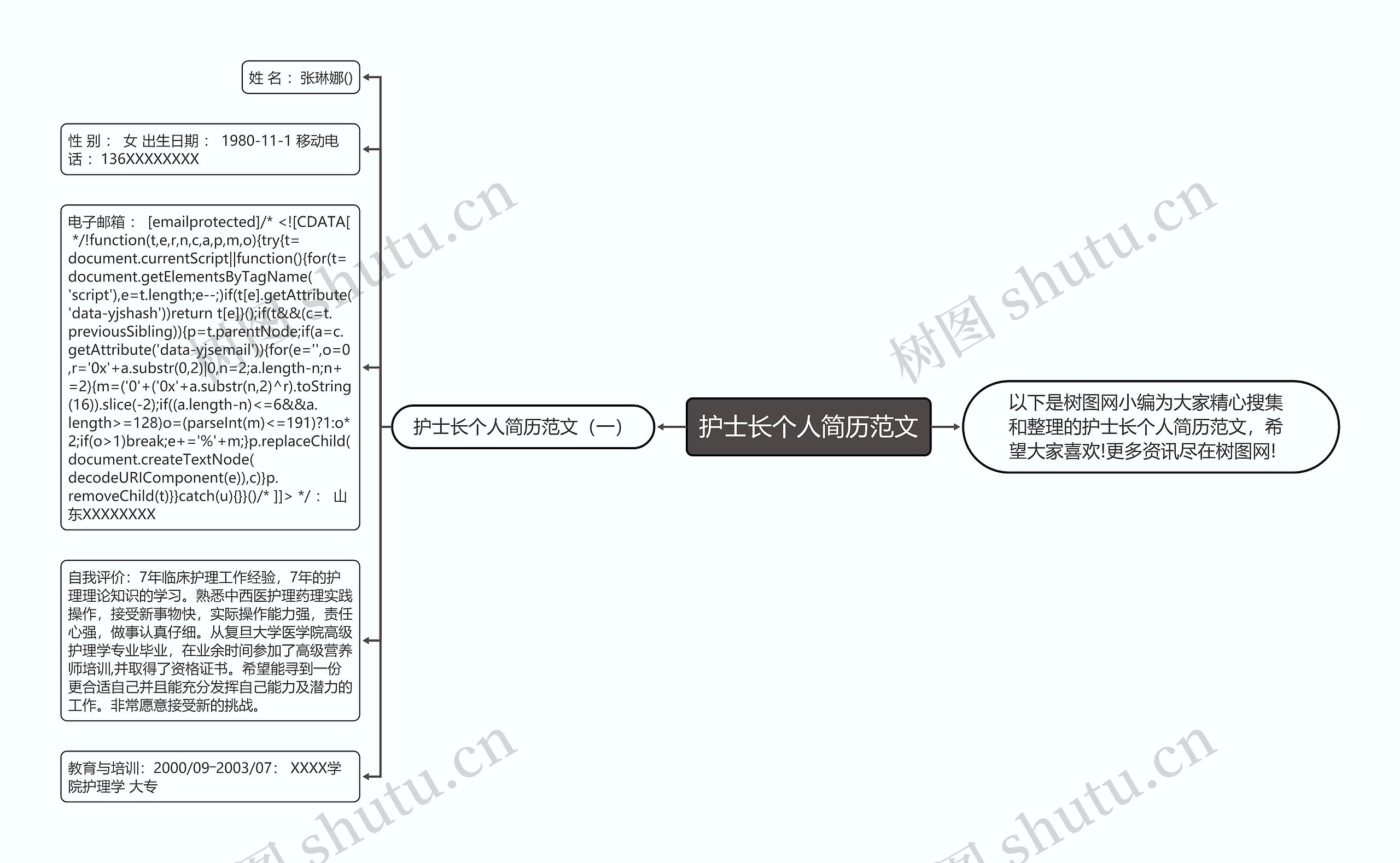 护士长个人简历范文思维导图