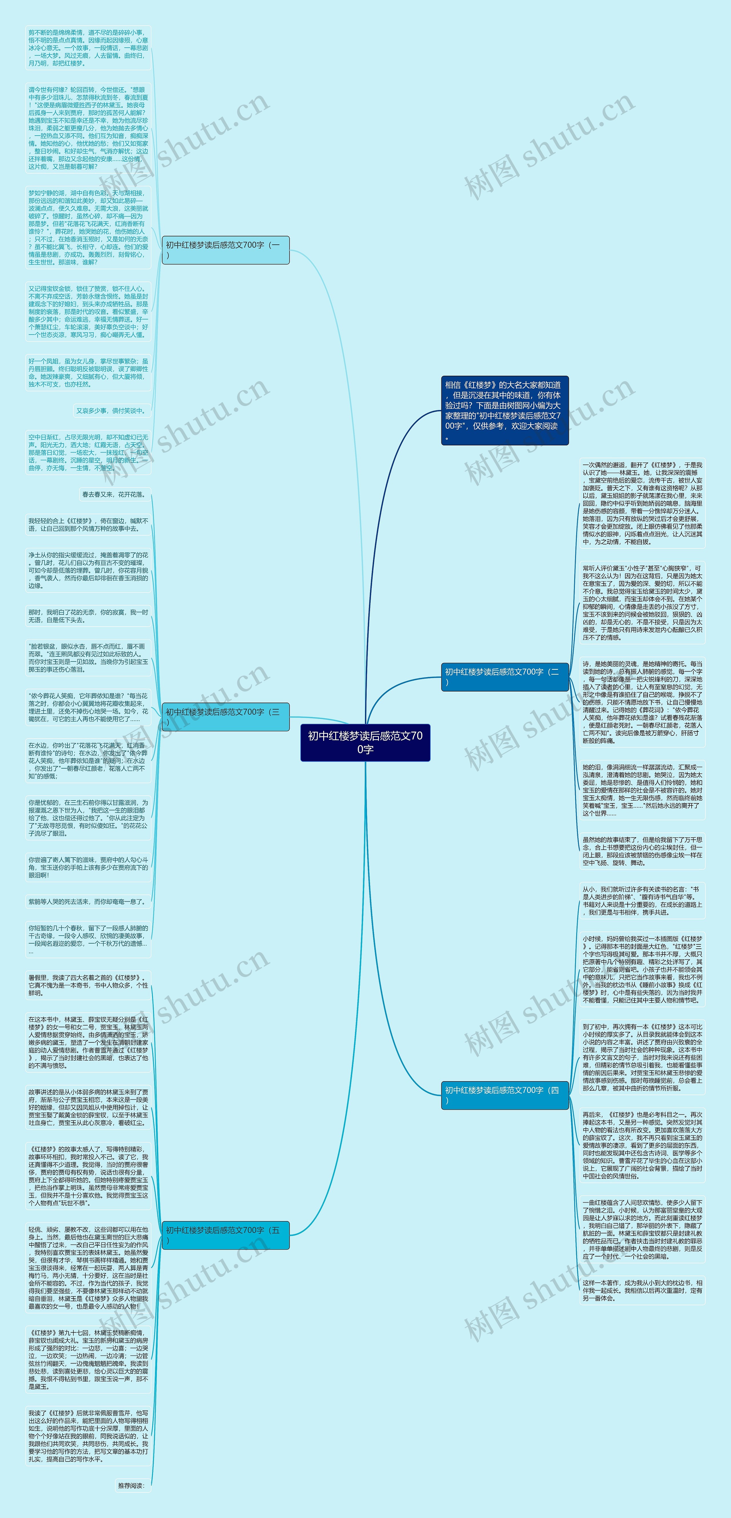 初中红楼梦读后感范文700字思维导图