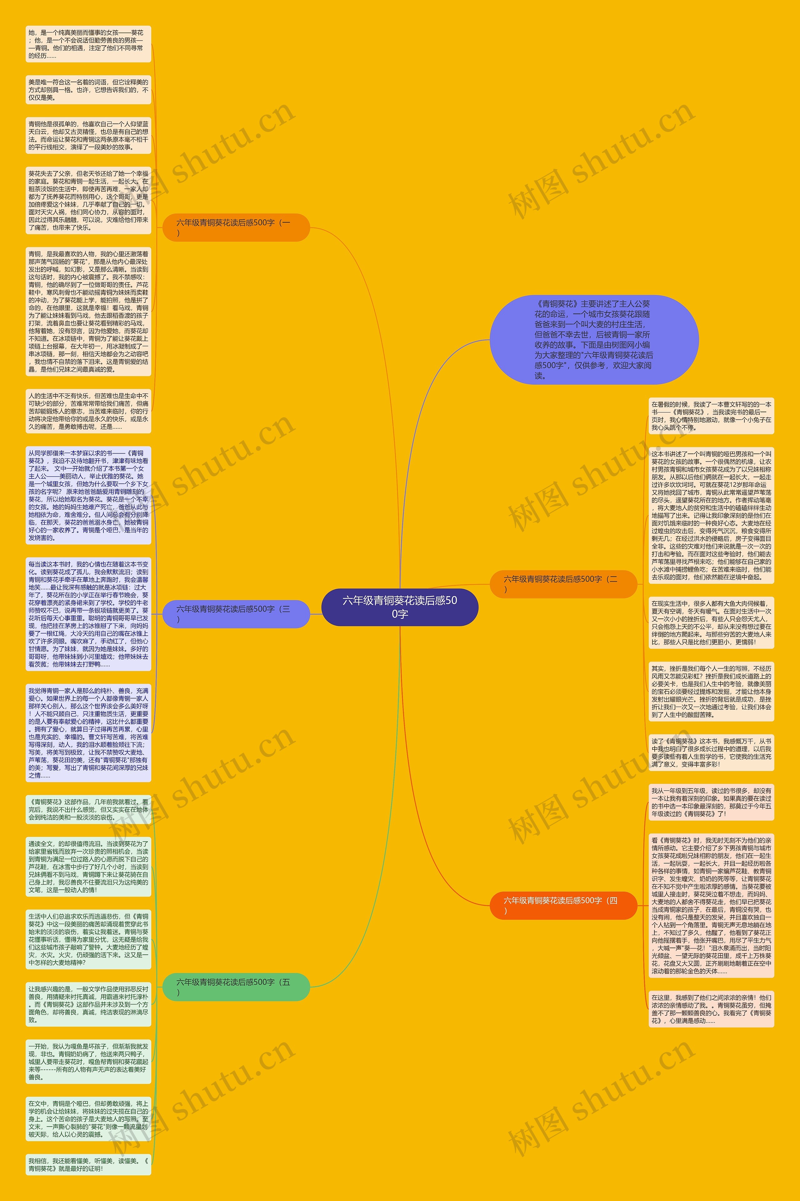 六年级青铜葵花读后感500字思维导图