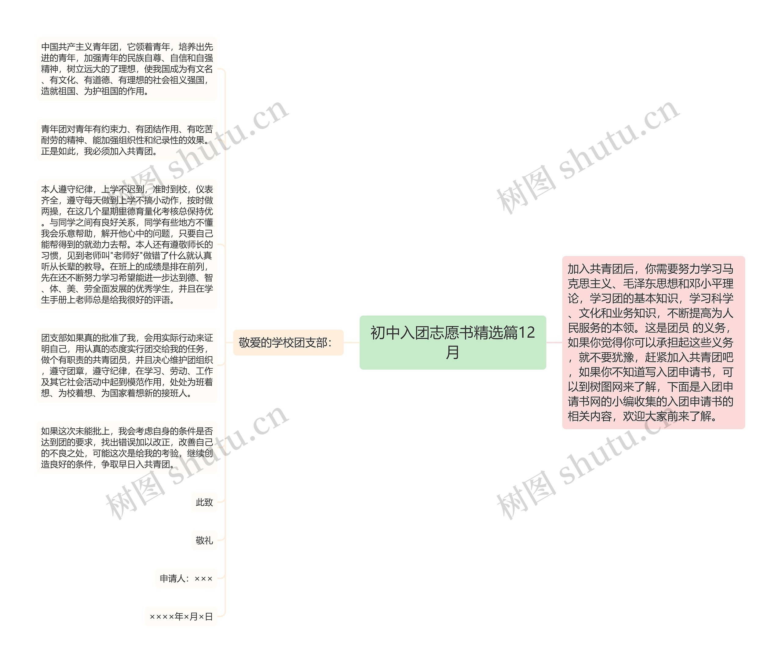 初中入团志愿书精选篇12月